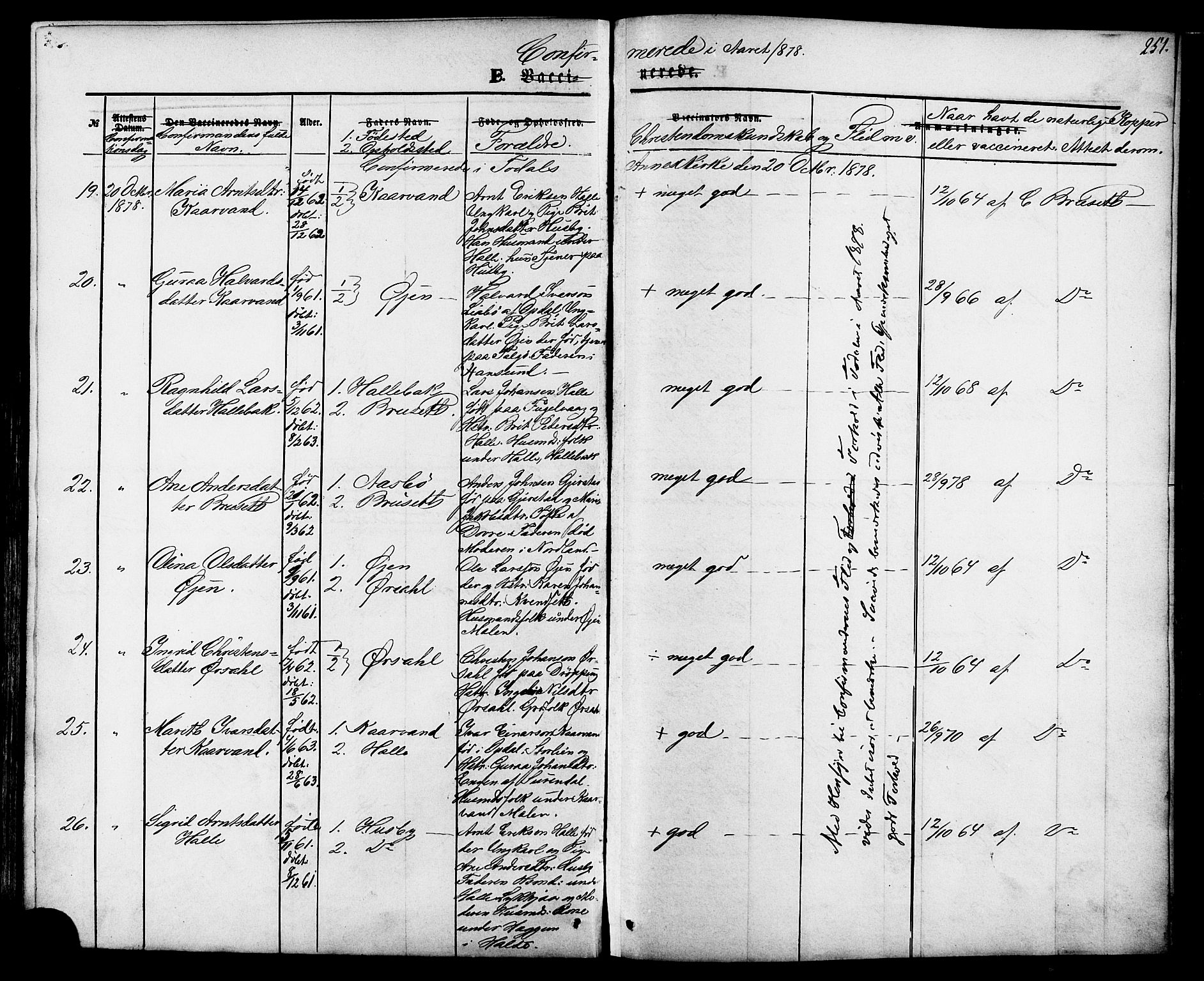 Ministerialprotokoller, klokkerbøker og fødselsregistre - Møre og Romsdal, AV/SAT-A-1454/592/L1027: Ministerialbok nr. 592A05, 1865-1878, s. 251