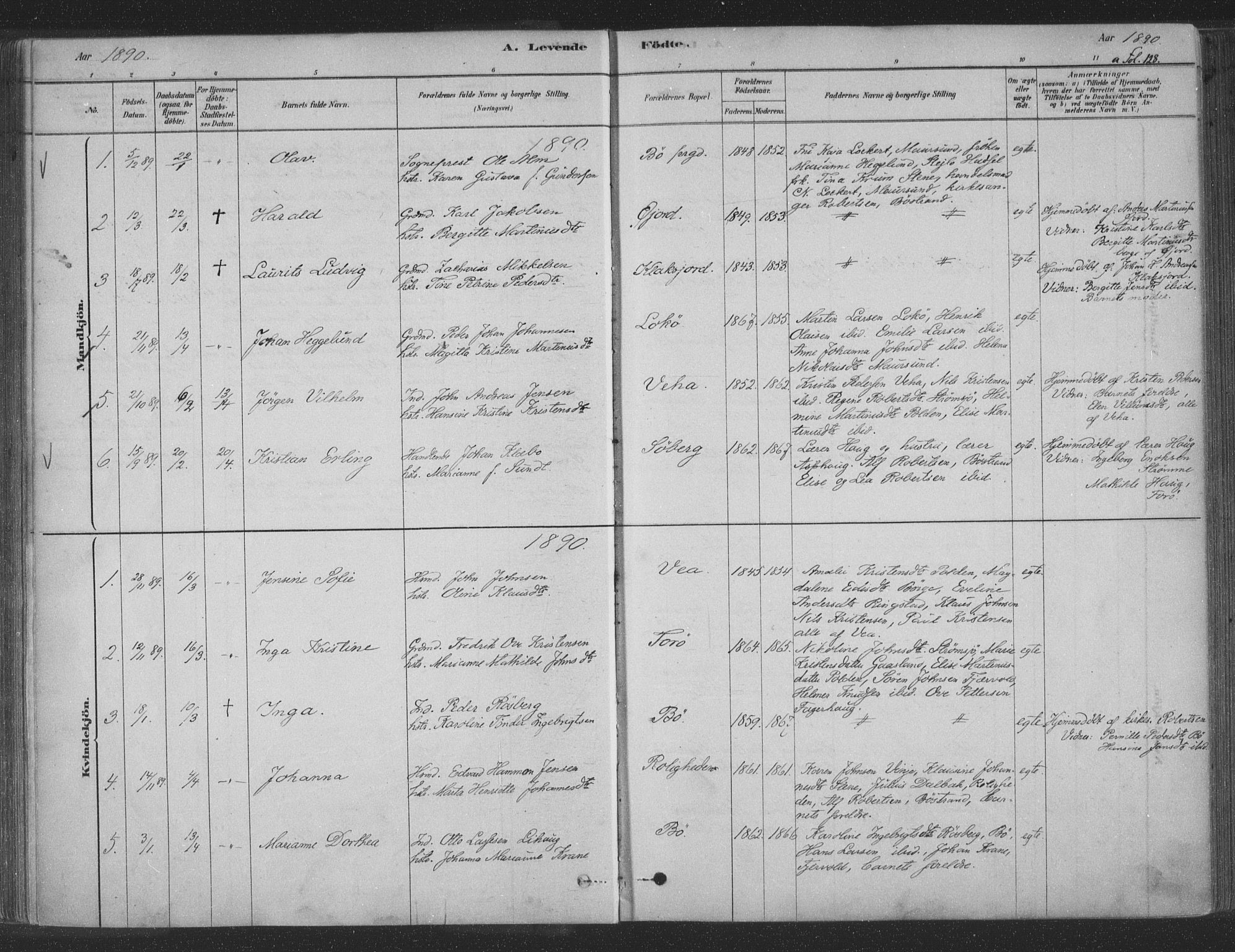 Ministerialprotokoller, klokkerbøker og fødselsregistre - Nordland, SAT/A-1459/891/L1302: Ministerialbok nr. 891A07, 1878-1895, s. 128