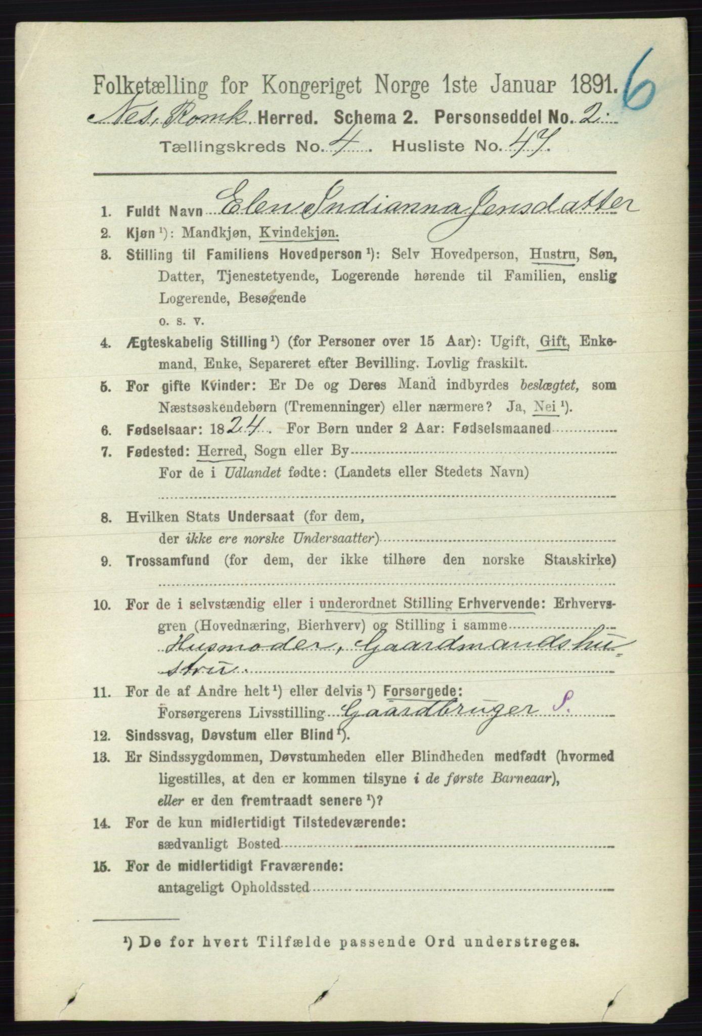 RA, Folketelling 1891 for 0236 Nes herred, 1891, s. 2525