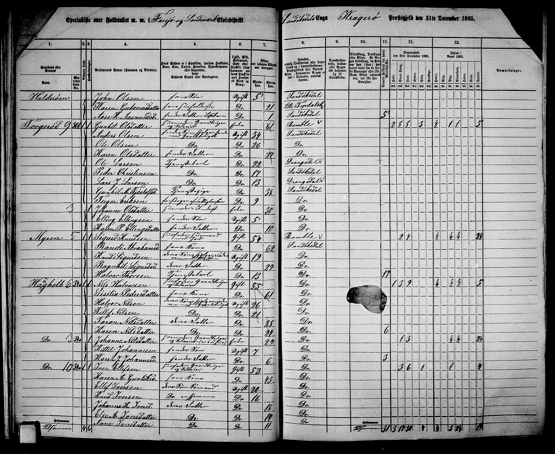 RA, Folketelling 1865 for 0816L Kragerø prestegjeld, Sannidal sokn og Skåtøy sokn, 1865, s. 22