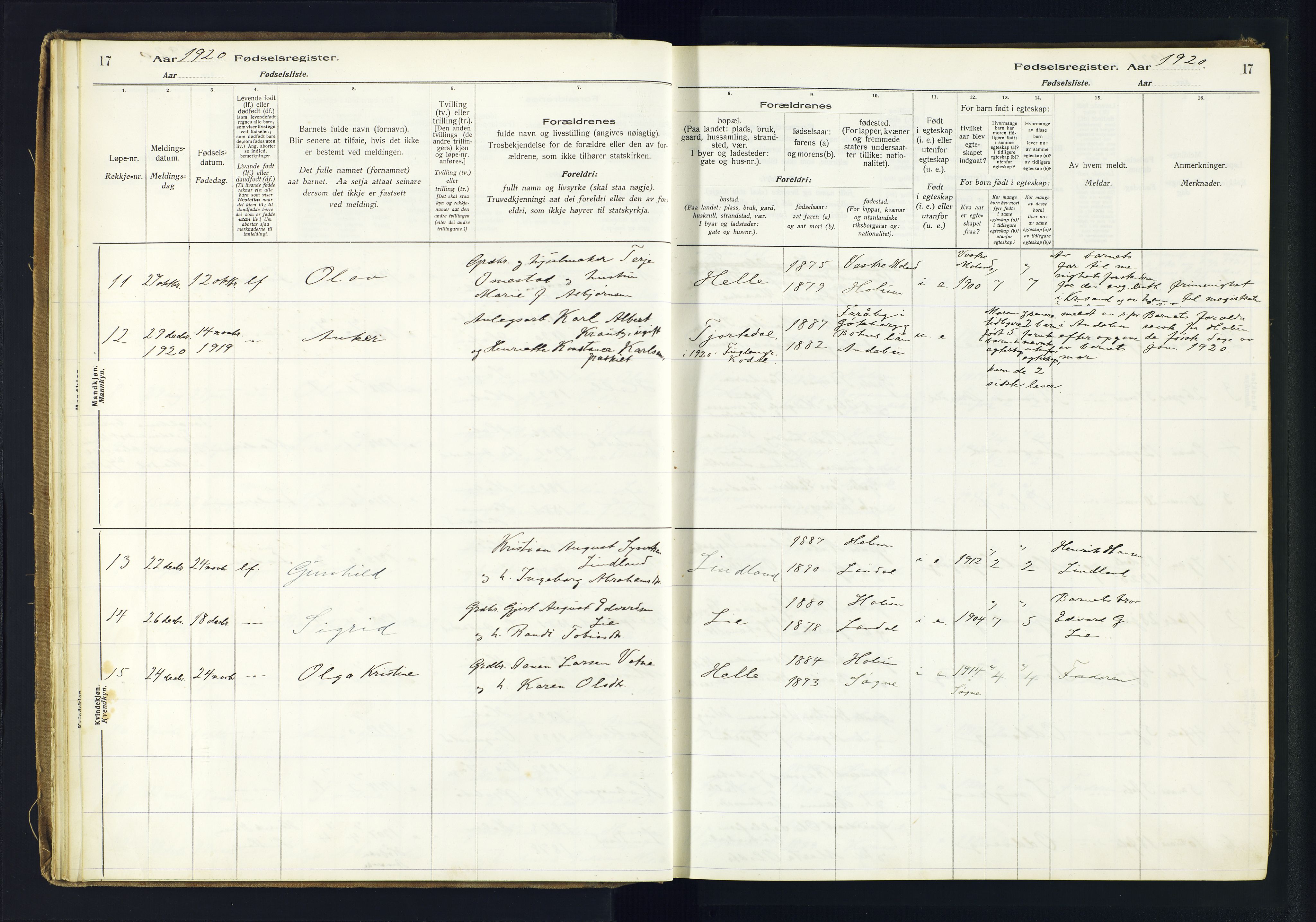 Holum sokneprestkontor, AV/SAK-1111-0022/J/Ja/L0003: Fødselsregister nr. II.6.12, 1916-1982, s. 17