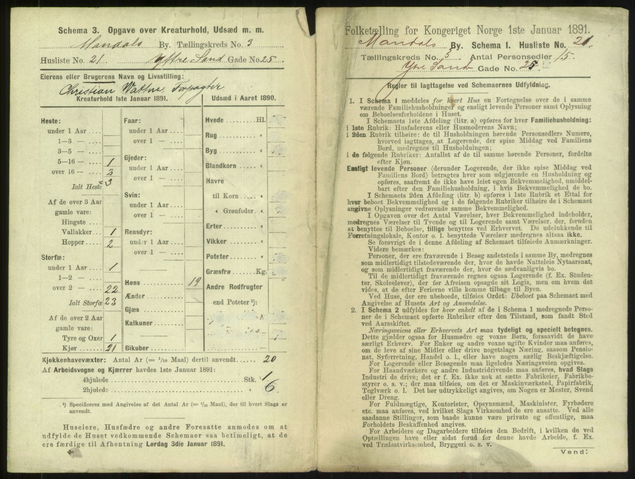 RA, Folketelling 1891 for 1002 Mandal ladested, 1891, s. 201