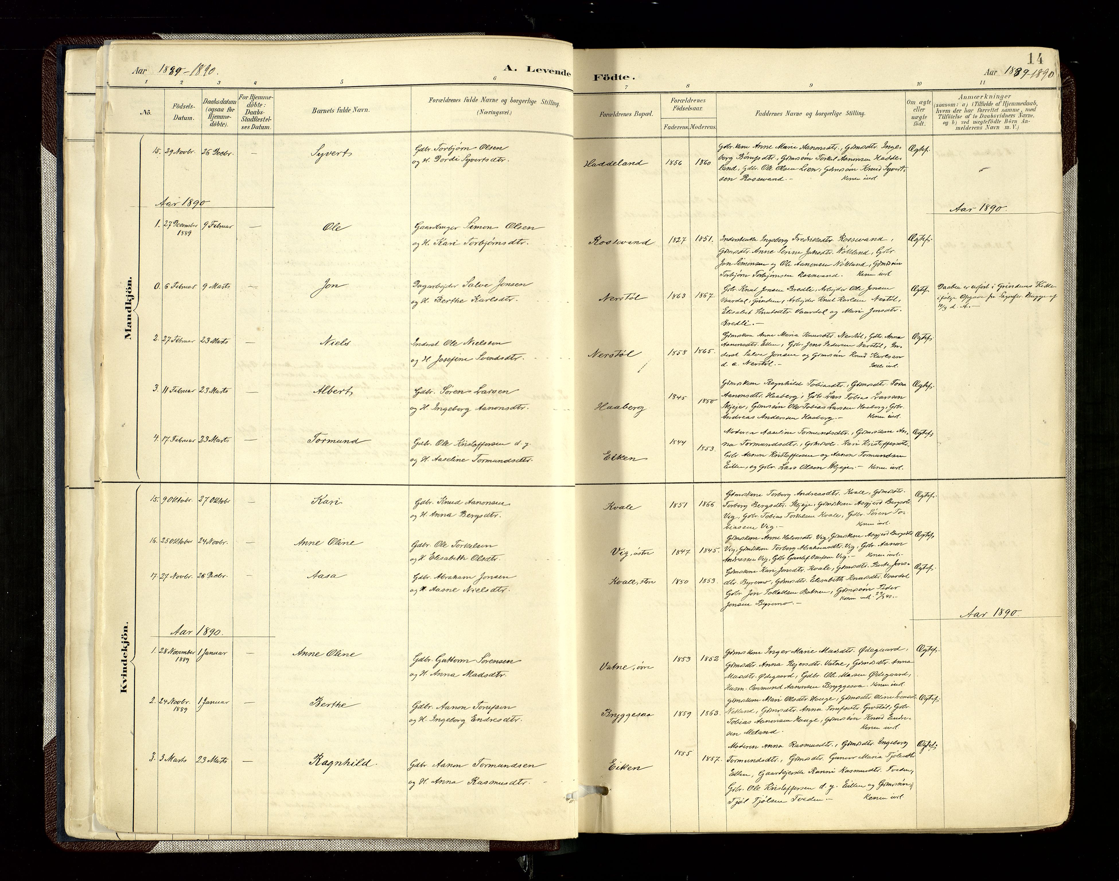 Hægebostad sokneprestkontor, SAK/1111-0024/F/Fa/Fab/L0004: Ministerialbok nr. A 4, 1887-1929, s. 14