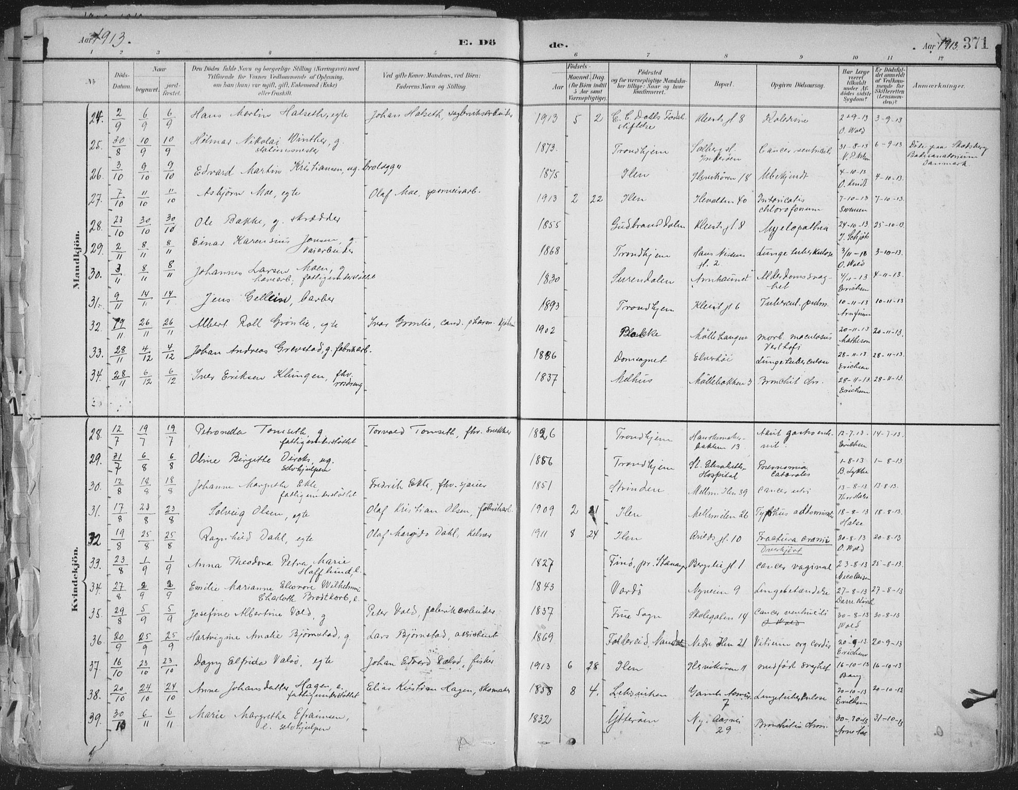 Ministerialprotokoller, klokkerbøker og fødselsregistre - Sør-Trøndelag, AV/SAT-A-1456/603/L0167: Ministerialbok nr. 603A06, 1896-1932, s. 371