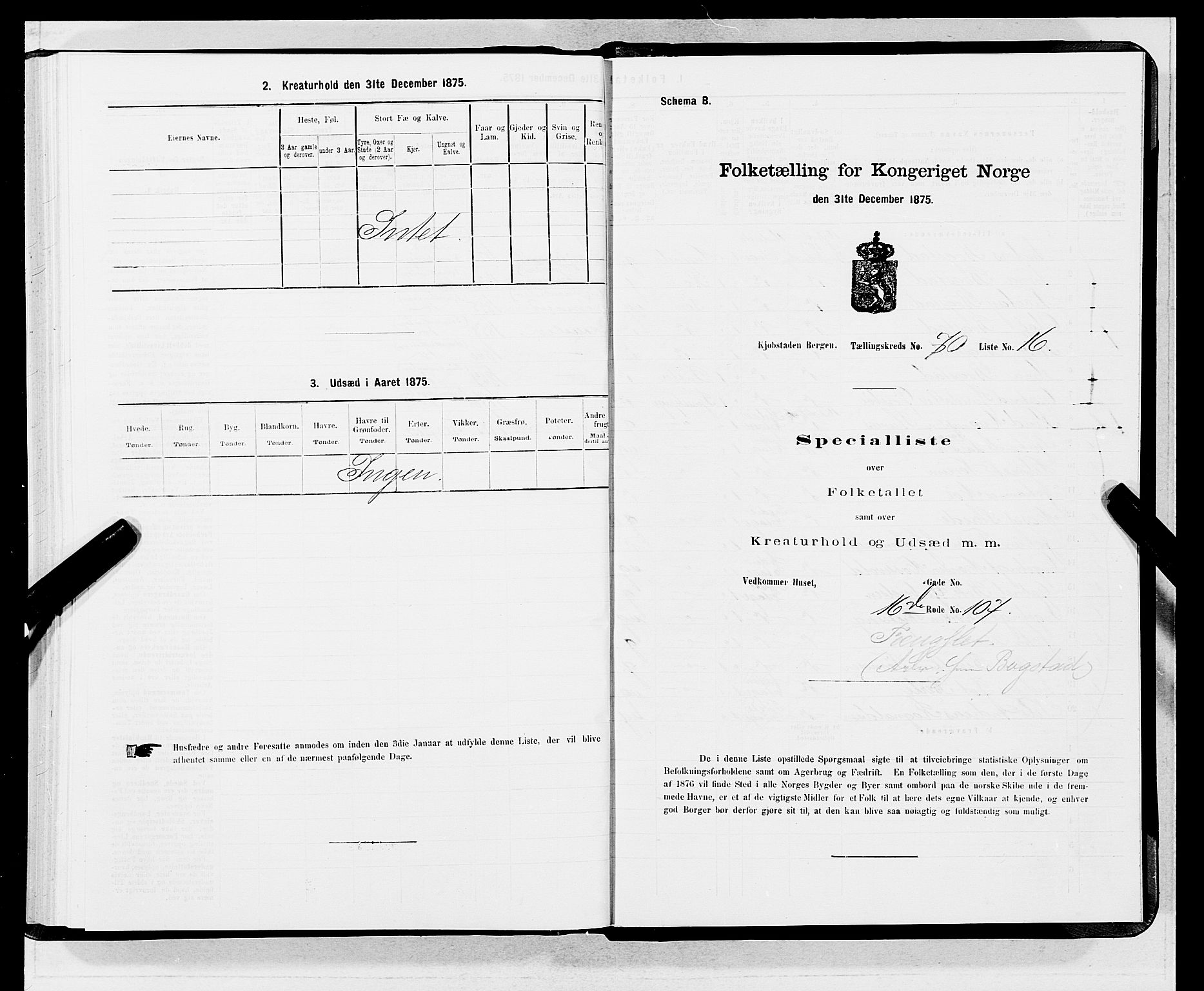 SAB, Folketelling 1875 for 1301 Bergen kjøpstad, 1875, s. 3742