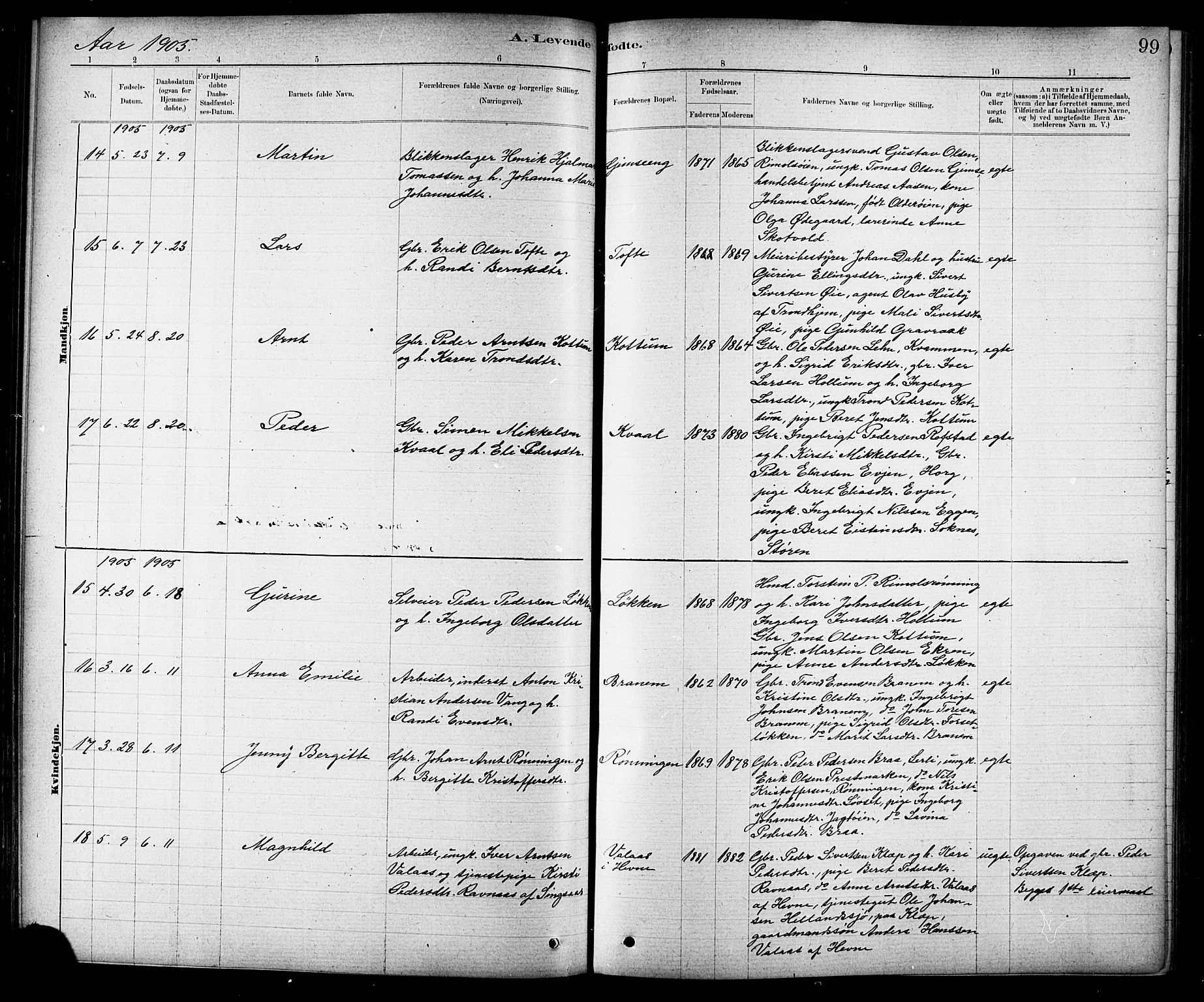 Ministerialprotokoller, klokkerbøker og fødselsregistre - Sør-Trøndelag, AV/SAT-A-1456/691/L1094: Klokkerbok nr. 691C05, 1879-1911, s. 99