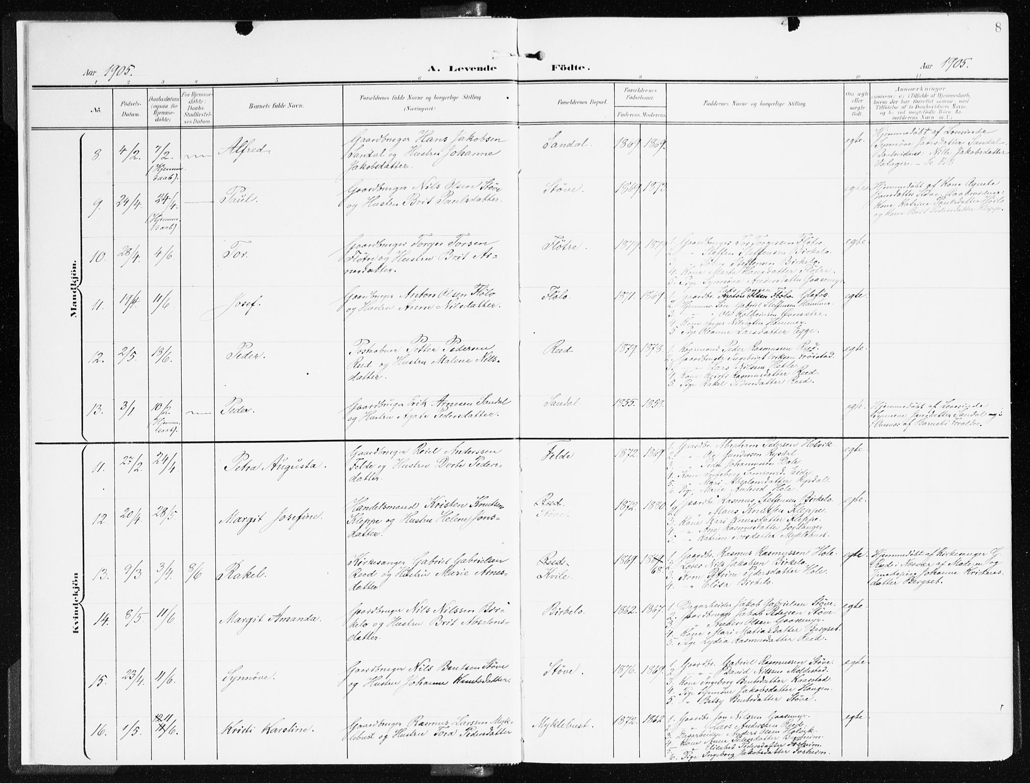 Gloppen sokneprestembete, AV/SAB-A-80101/H/Haa/Haac/L0003: Ministerialbok nr. C 3, 1904-1921, s. 8