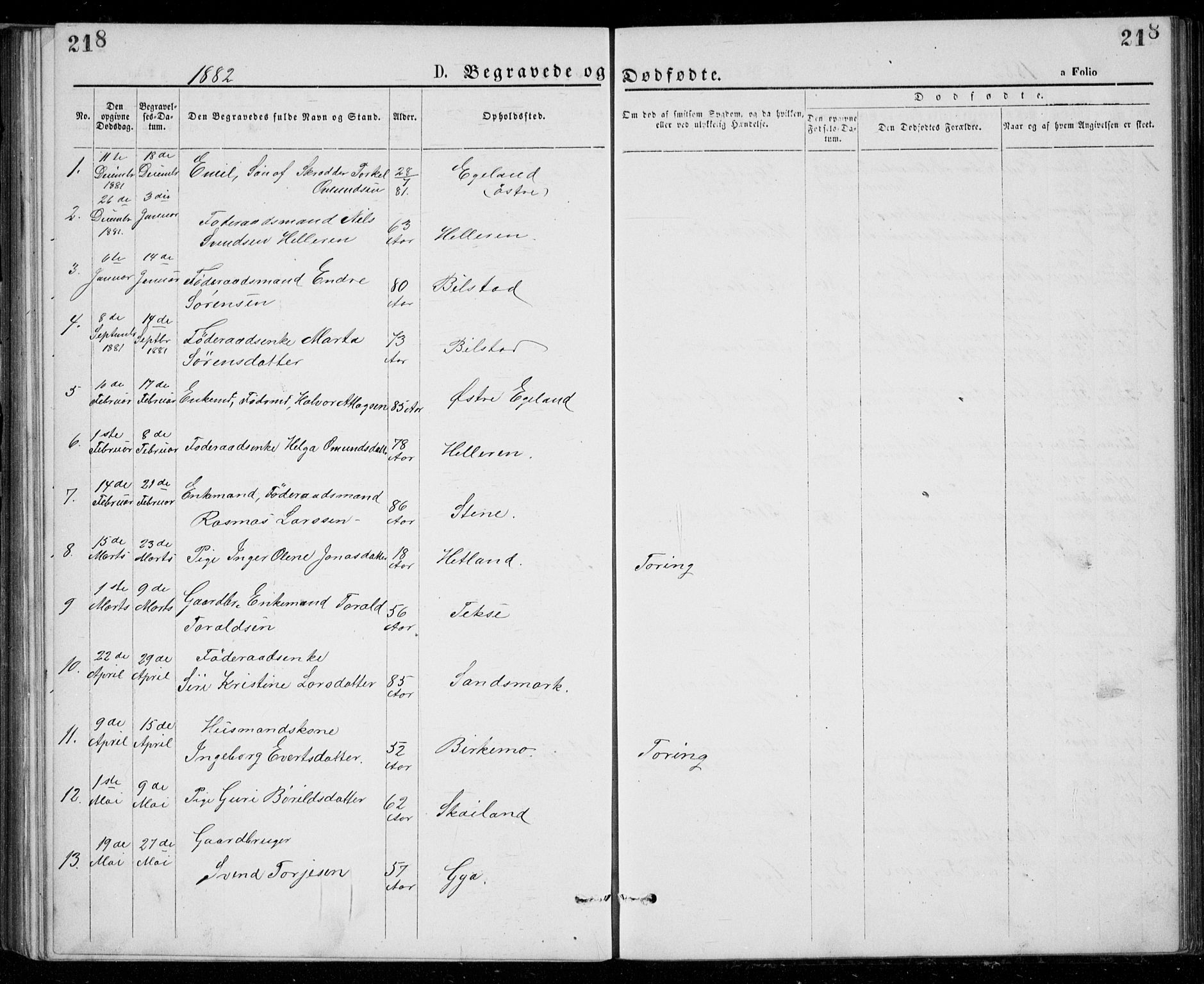 Lund sokneprestkontor, SAST/A-101809/S07/L0005: Klokkerbok nr. B 5, 1875-1889, s. 218