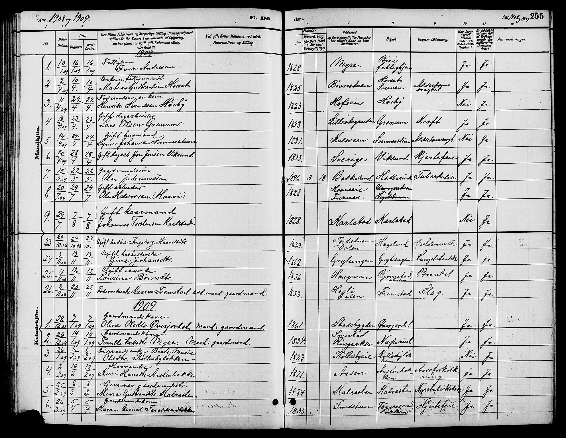 Biri prestekontor, AV/SAH-PREST-096/H/Ha/Hab/L0004: Klokkerbok nr. 4, 1892-1909, s. 255