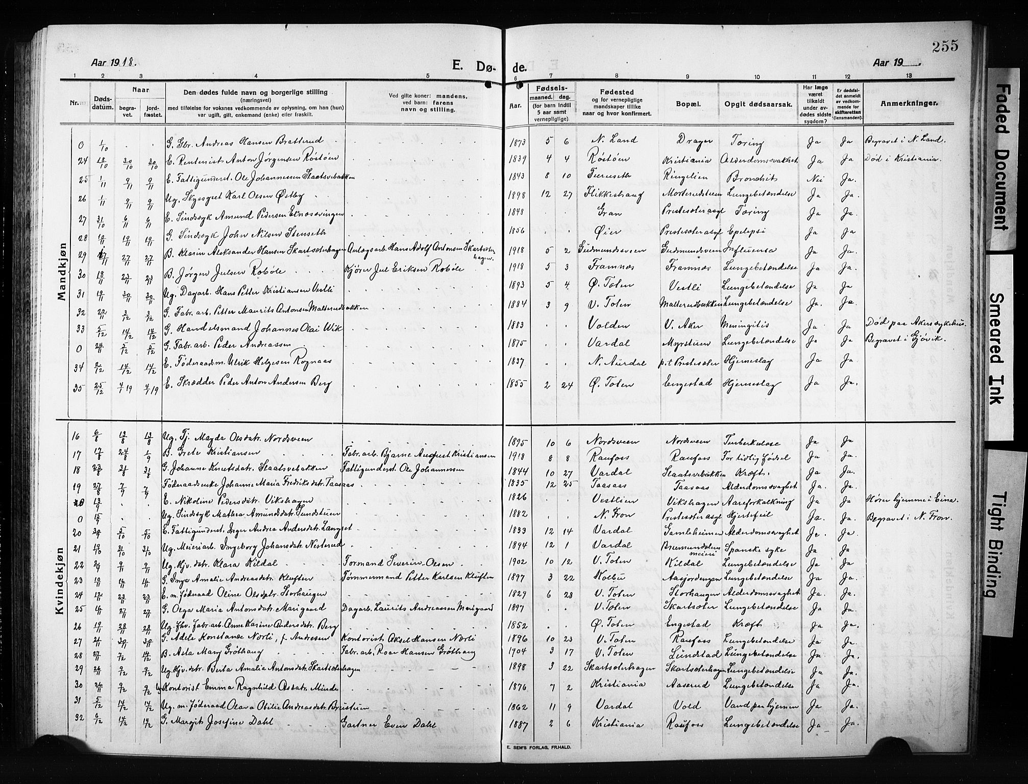 Vestre Toten prestekontor, AV/SAH-PREST-108/H/Ha/Hab/L0012: Klokkerbok nr. 12, 1909-1928, s. 255