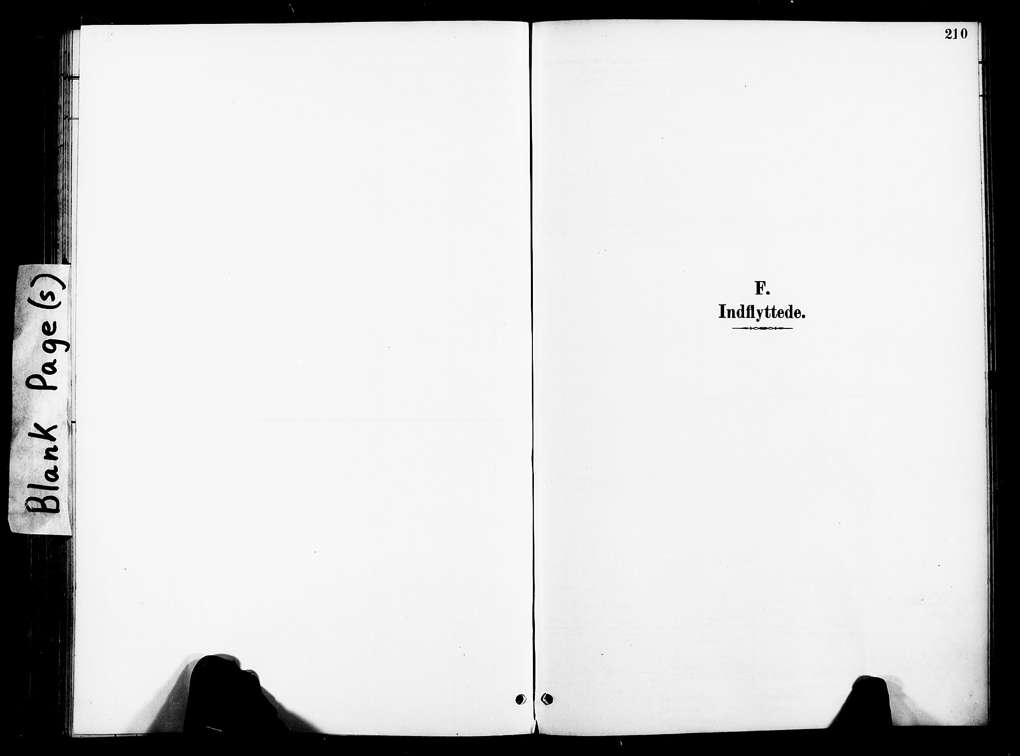 Ministerialprotokoller, klokkerbøker og fødselsregistre - Nord-Trøndelag, SAT/A-1458/739/L0372: Ministerialbok nr. 739A04, 1895-1903, s. 210