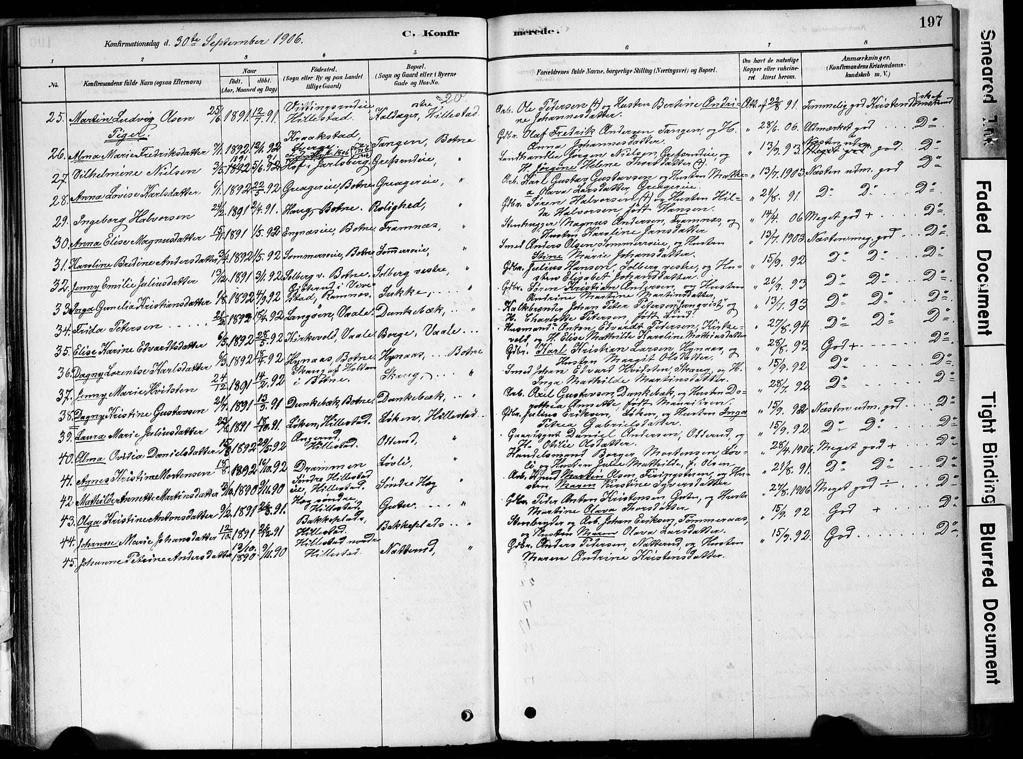 Botne kirkebøker, AV/SAKO-A-340/F/Fa/L0007: Ministerialbok nr. I 7, 1878-1910, s. 197