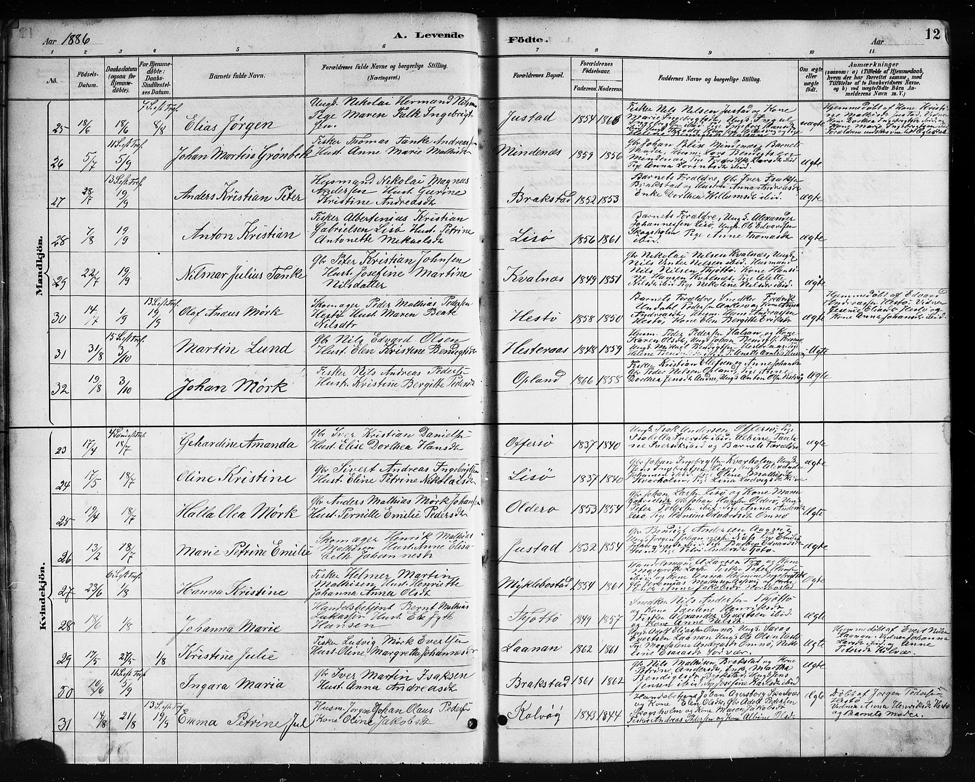 Ministerialprotokoller, klokkerbøker og fødselsregistre - Nordland, AV/SAT-A-1459/817/L0268: Klokkerbok nr. 817C03, 1884-1920, s. 12