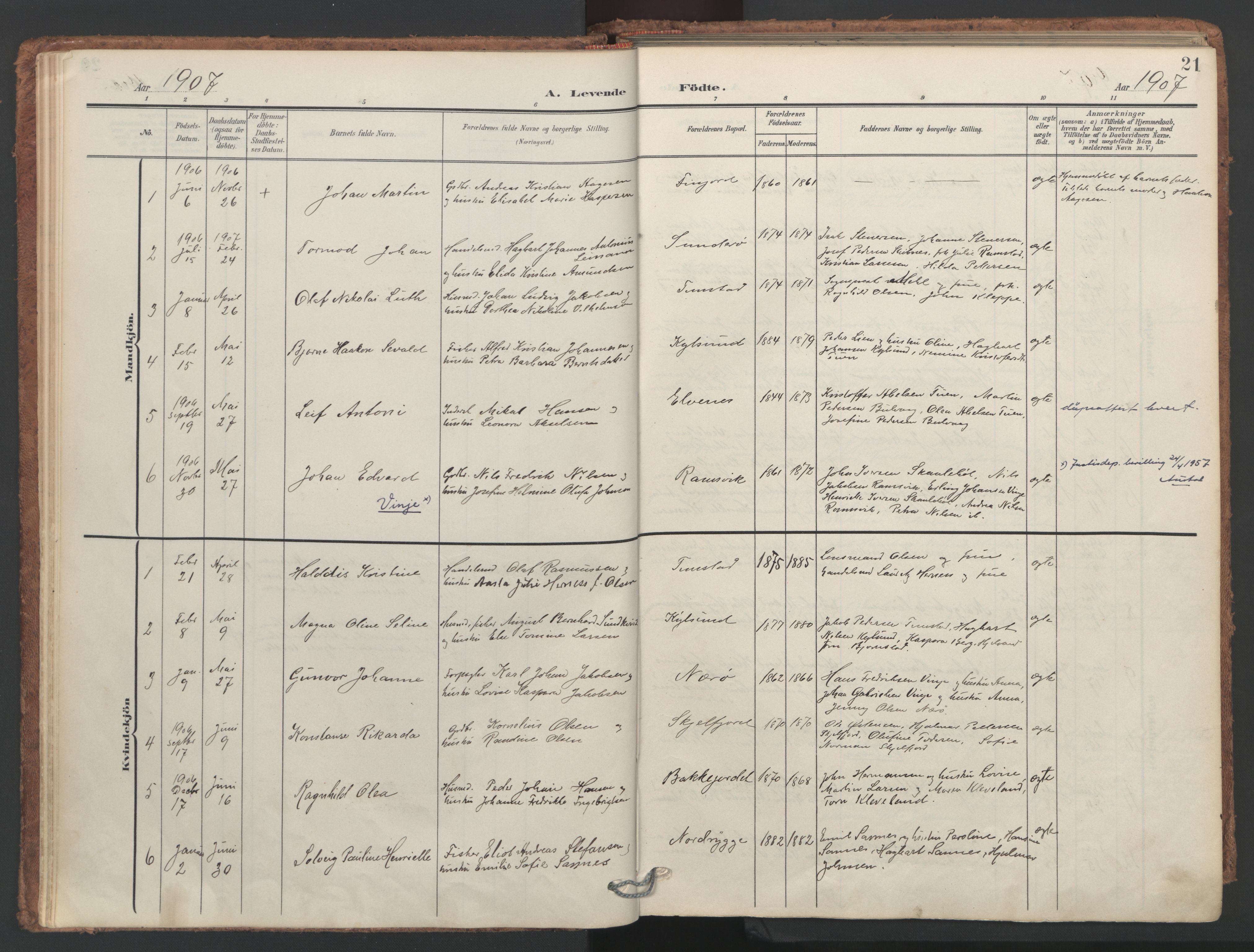 Ministerialprotokoller, klokkerbøker og fødselsregistre - Nordland, AV/SAT-A-1459/893/L1339: Ministerialbok nr. 893A11, 1904-1914, s. 21