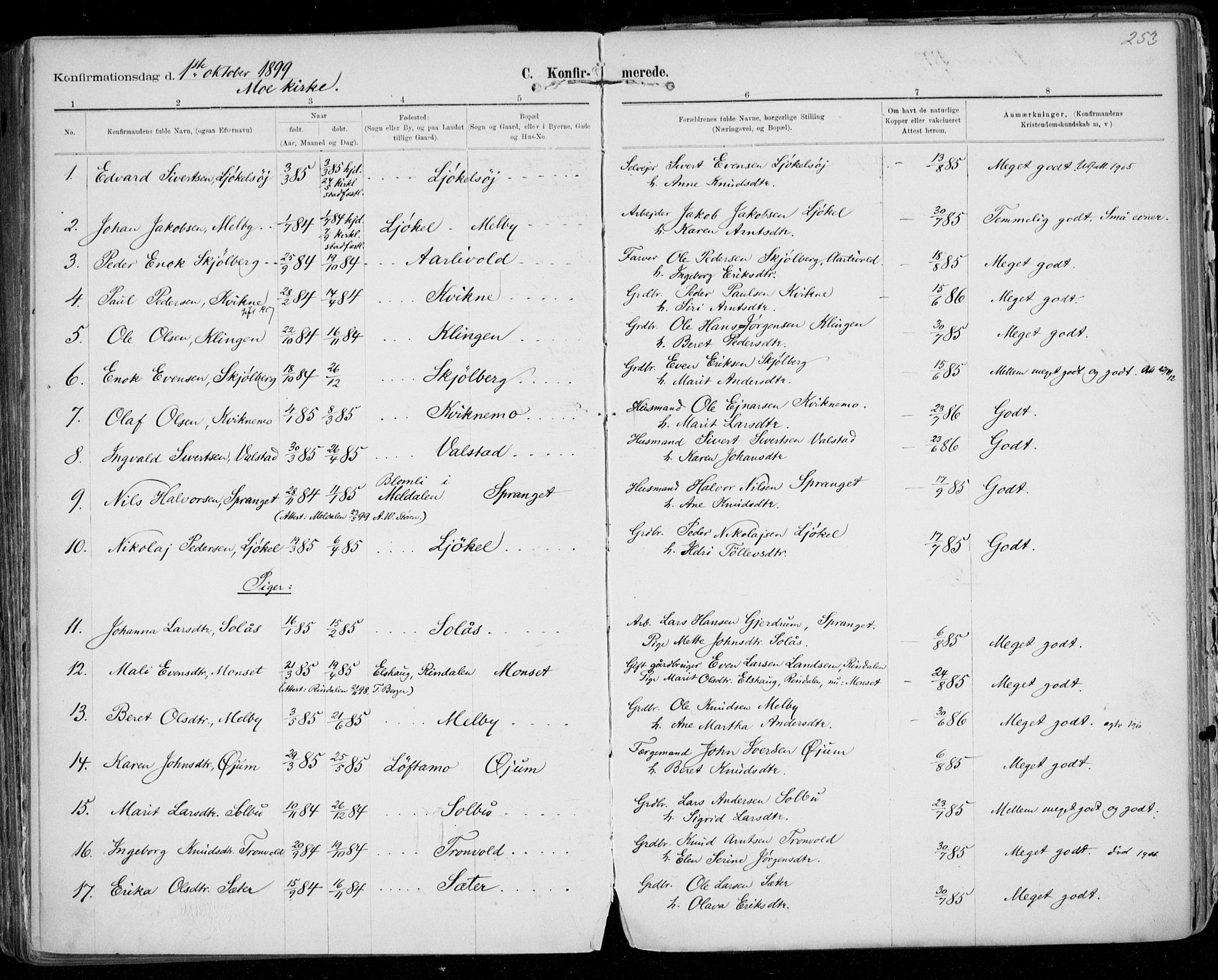 Ministerialprotokoller, klokkerbøker og fødselsregistre - Sør-Trøndelag, SAT/A-1456/668/L0811: Ministerialbok nr. 668A11, 1894-1913, s. 253