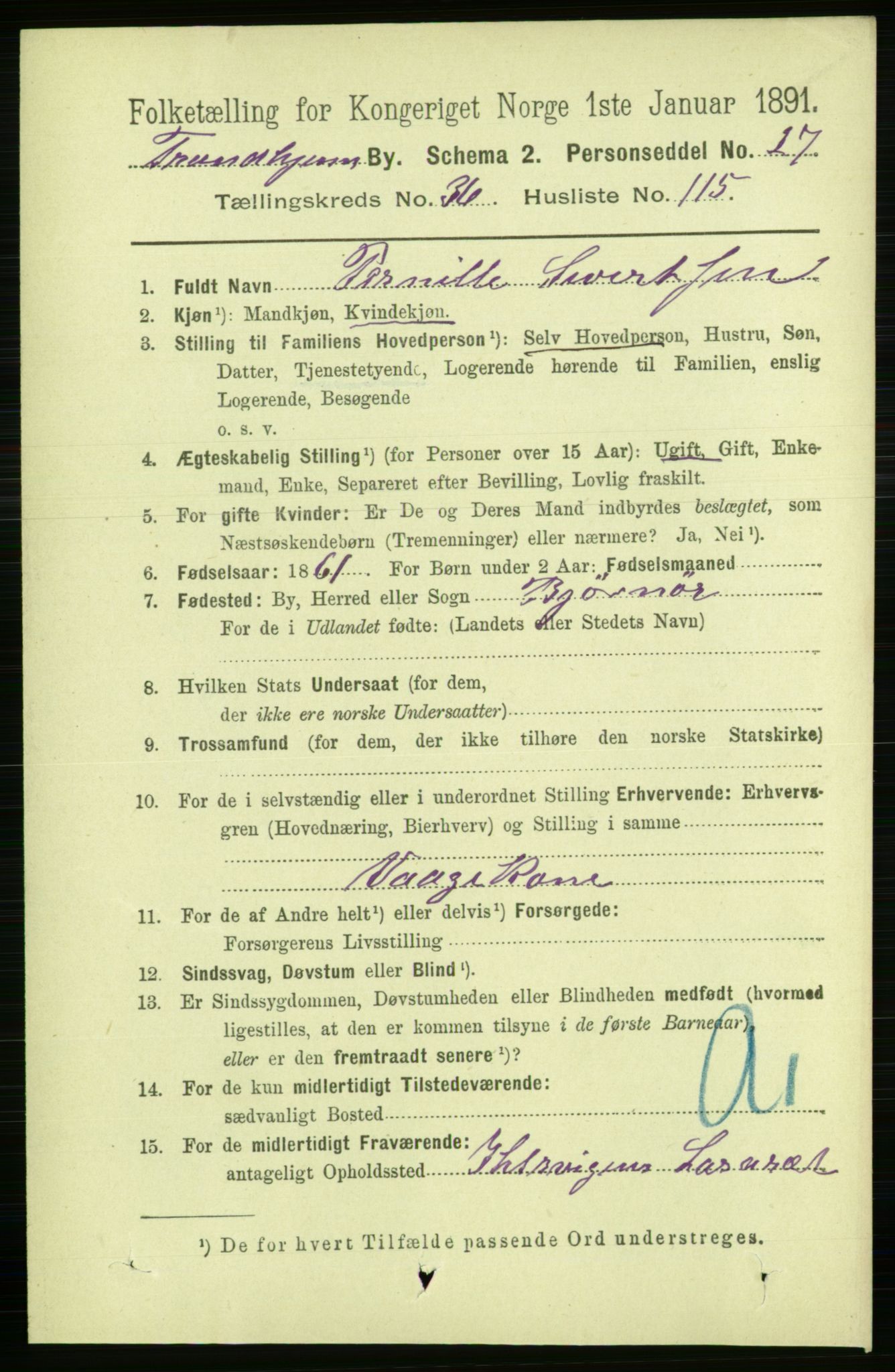 RA, Folketelling 1891 for 1601 Trondheim kjøpstad, 1891, s. 28100