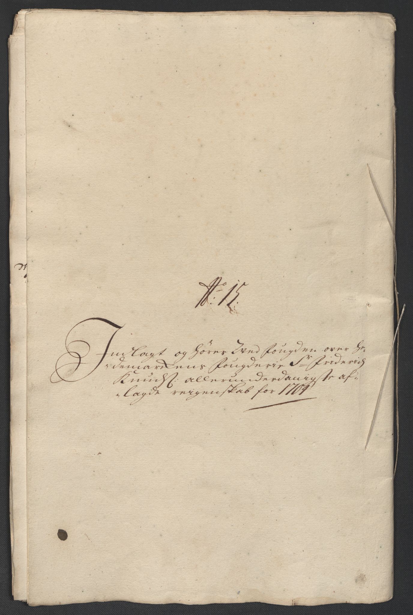 Rentekammeret inntil 1814, Reviderte regnskaper, Fogderegnskap, AV/RA-EA-4092/R16/L1041: Fogderegnskap Hedmark, 1703-1704, s. 317