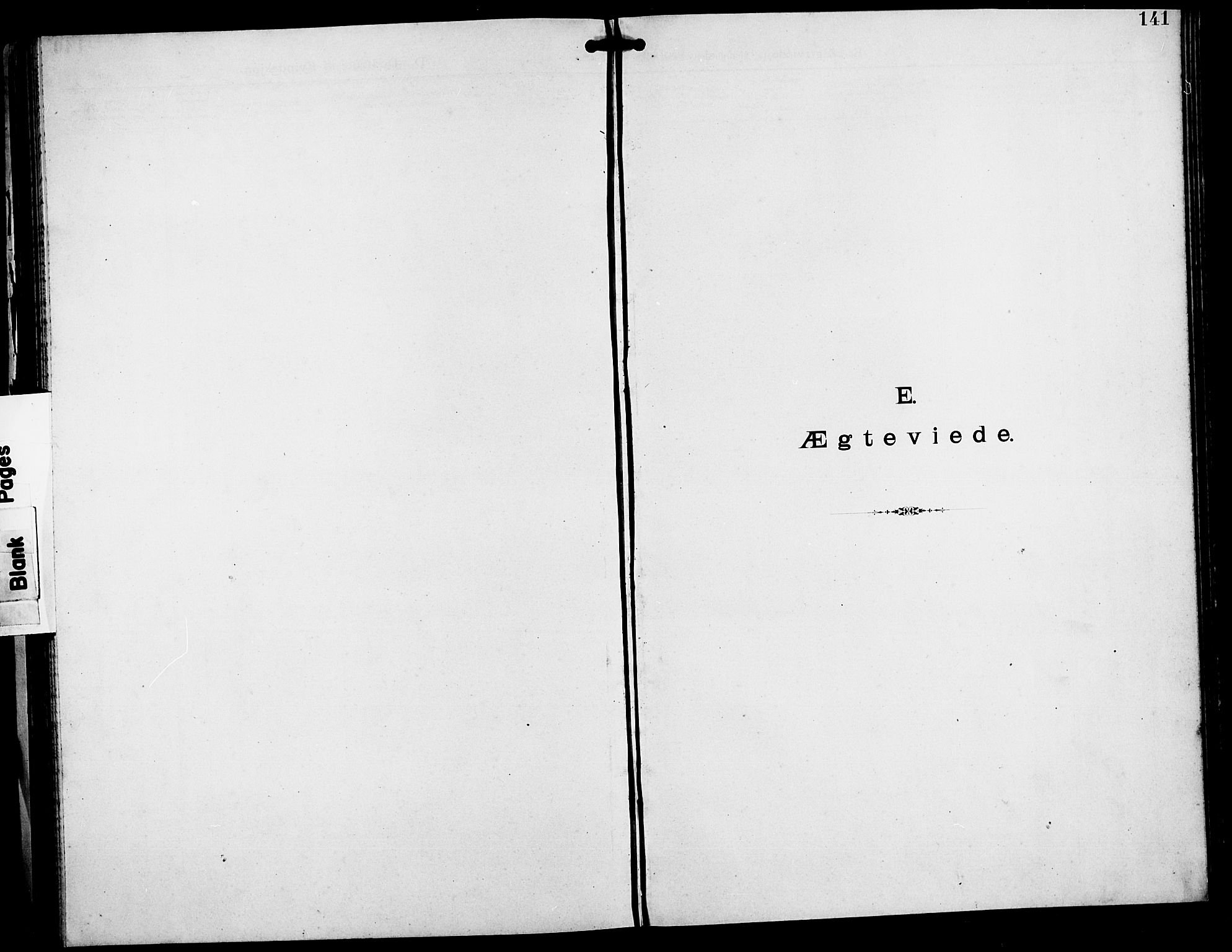 Stavanger amt*, SAST/-: Dissenterprotokoll nr. -, 1892-1902, s. 141
