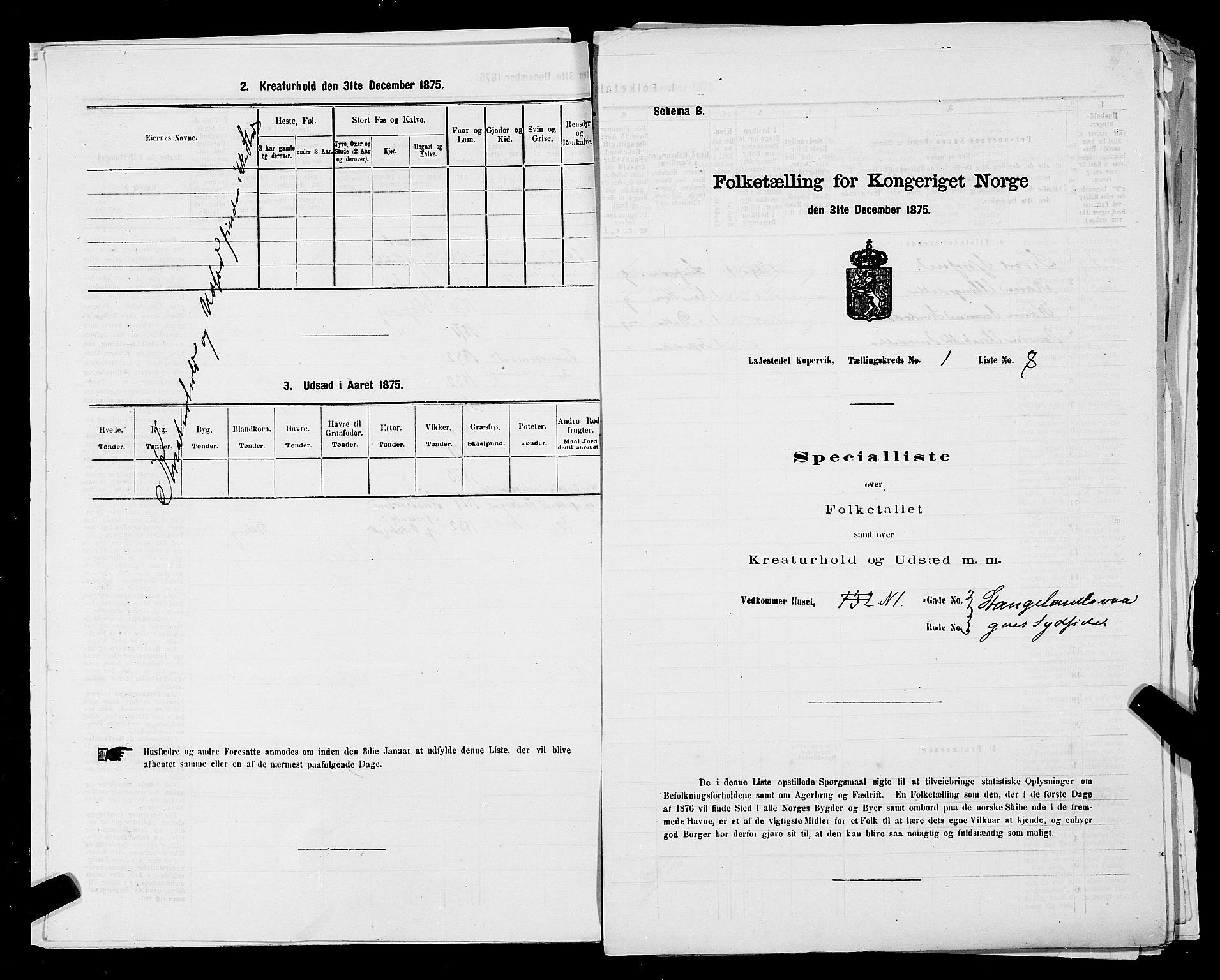 SAST, Folketelling 1875 for 1105B Avaldsnes prestegjeld, Kopervik ladested, 1875, s. 17