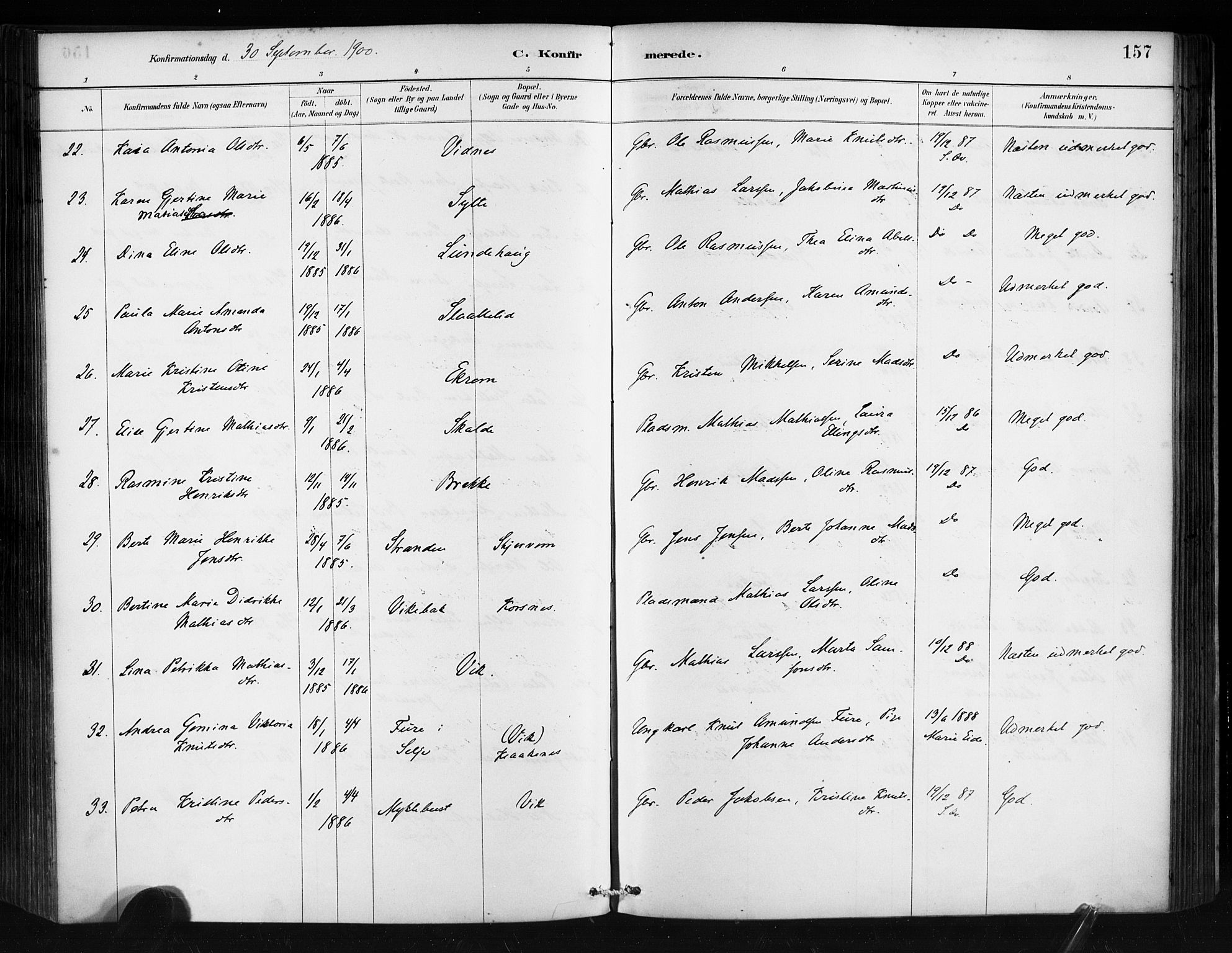 Ministerialprotokoller, klokkerbøker og fødselsregistre - Møre og Romsdal, SAT/A-1454/501/L0008: Ministerialbok nr. 501A08, 1885-1901, s. 157
