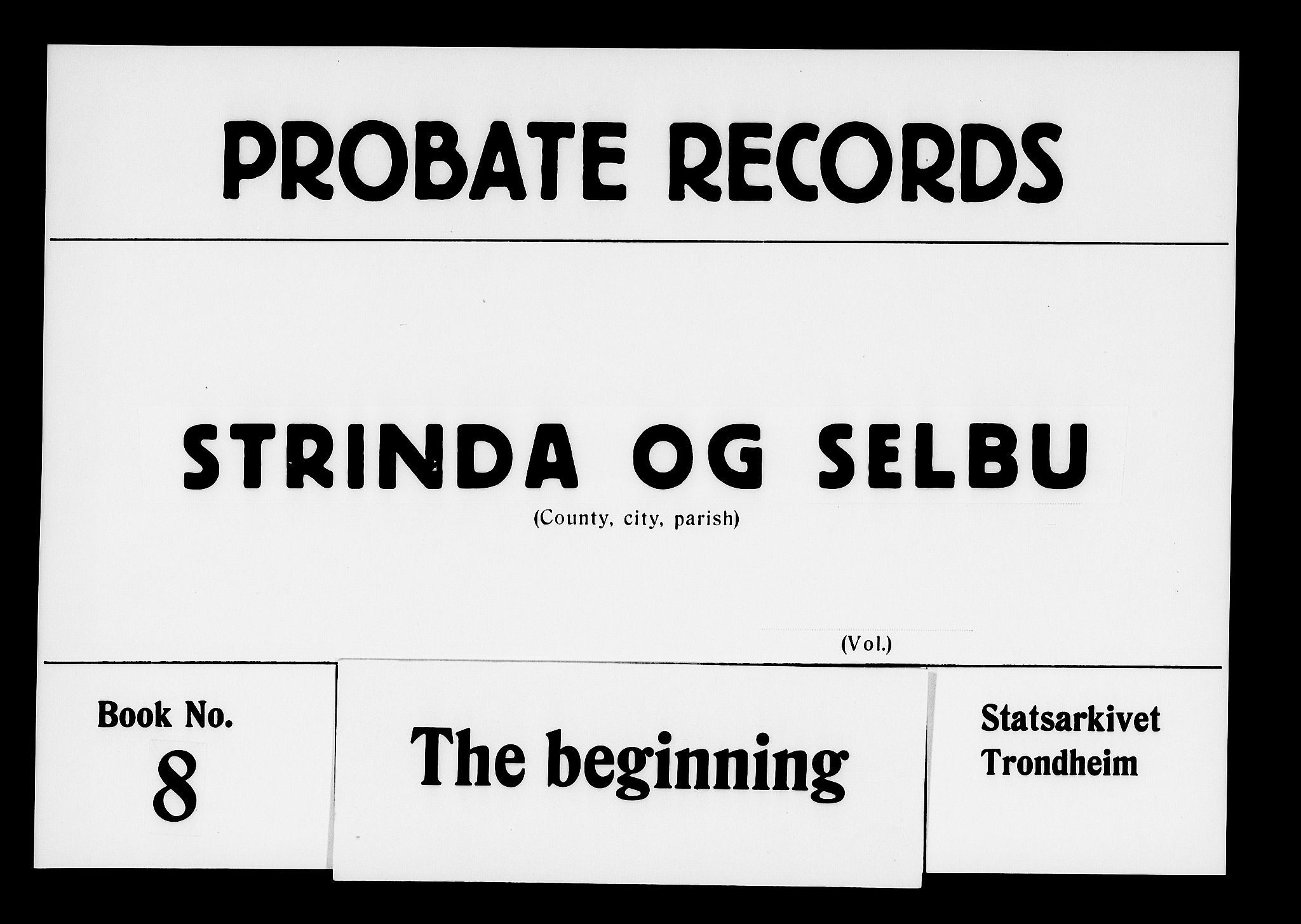 Strinda og Selbu sorenskriveri, AV/SAT-A-0015/3/3A/3Aa/L0008: Skifteprotokoll 8, 1790-1797