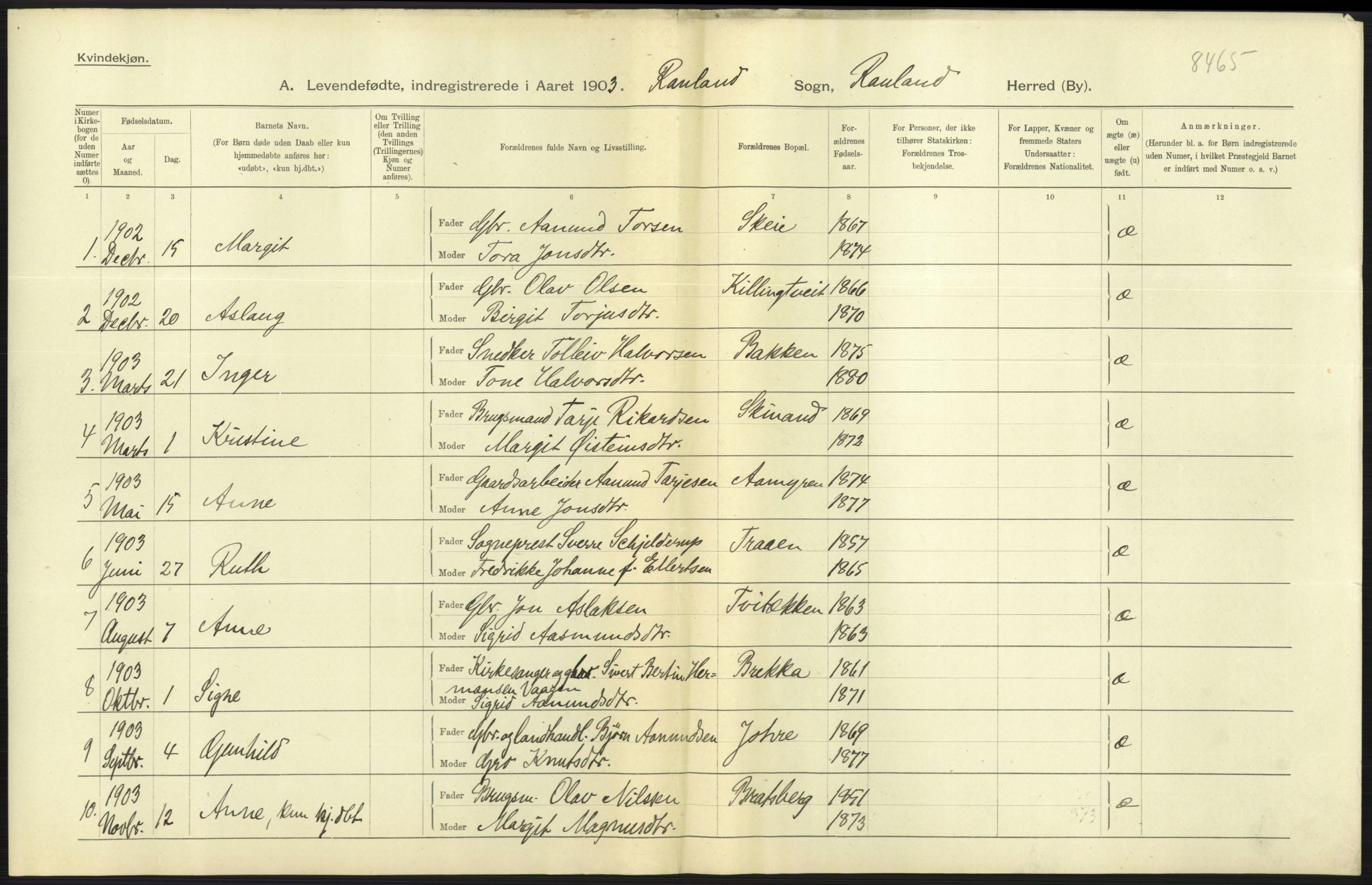 Statistisk sentralbyrå, Sosiodemografiske emner, Befolkning, AV/RA-S-2228/D/Df/Dfa/Dfaa/L0009: Bratsberg amt: Fødte, gifte, døde, 1903, s. 7