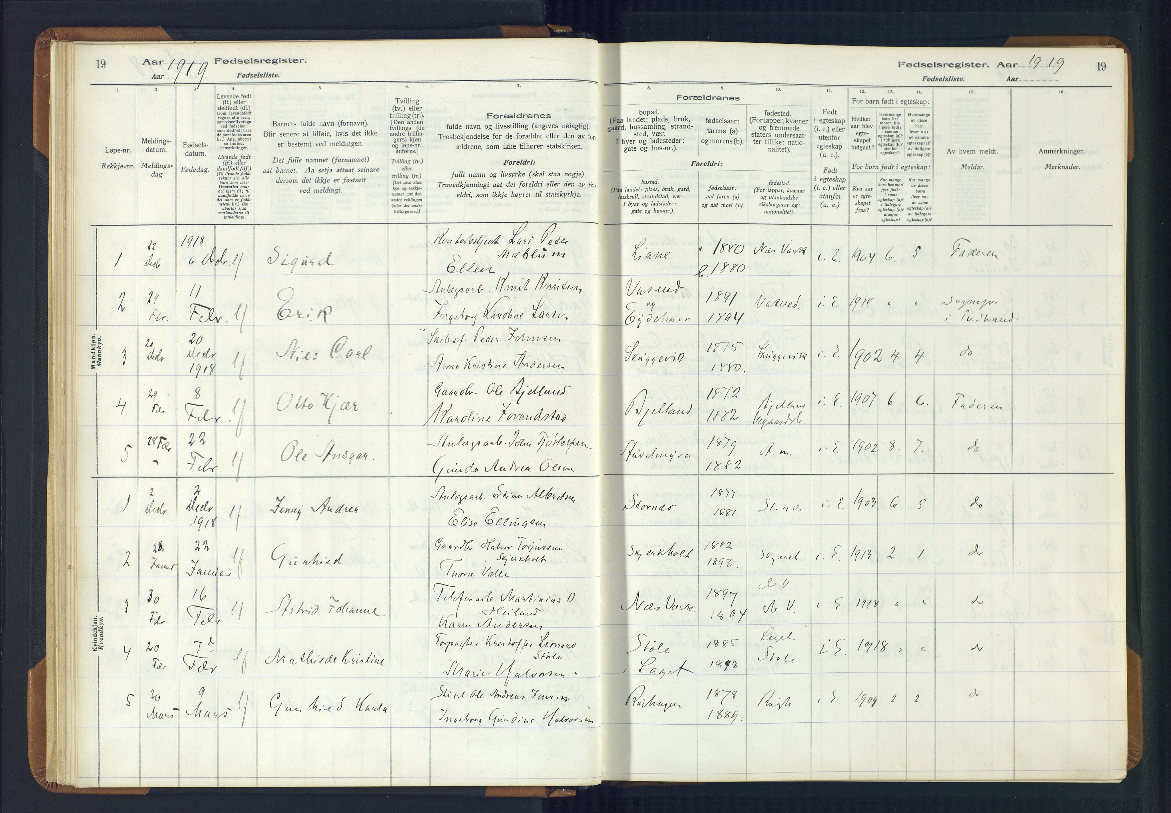 Holt sokneprestkontor, AV/SAK-1111-0021/J/Ja/L0001: Fødselsregister nr. II.4.1, 1916-1946, s. 19