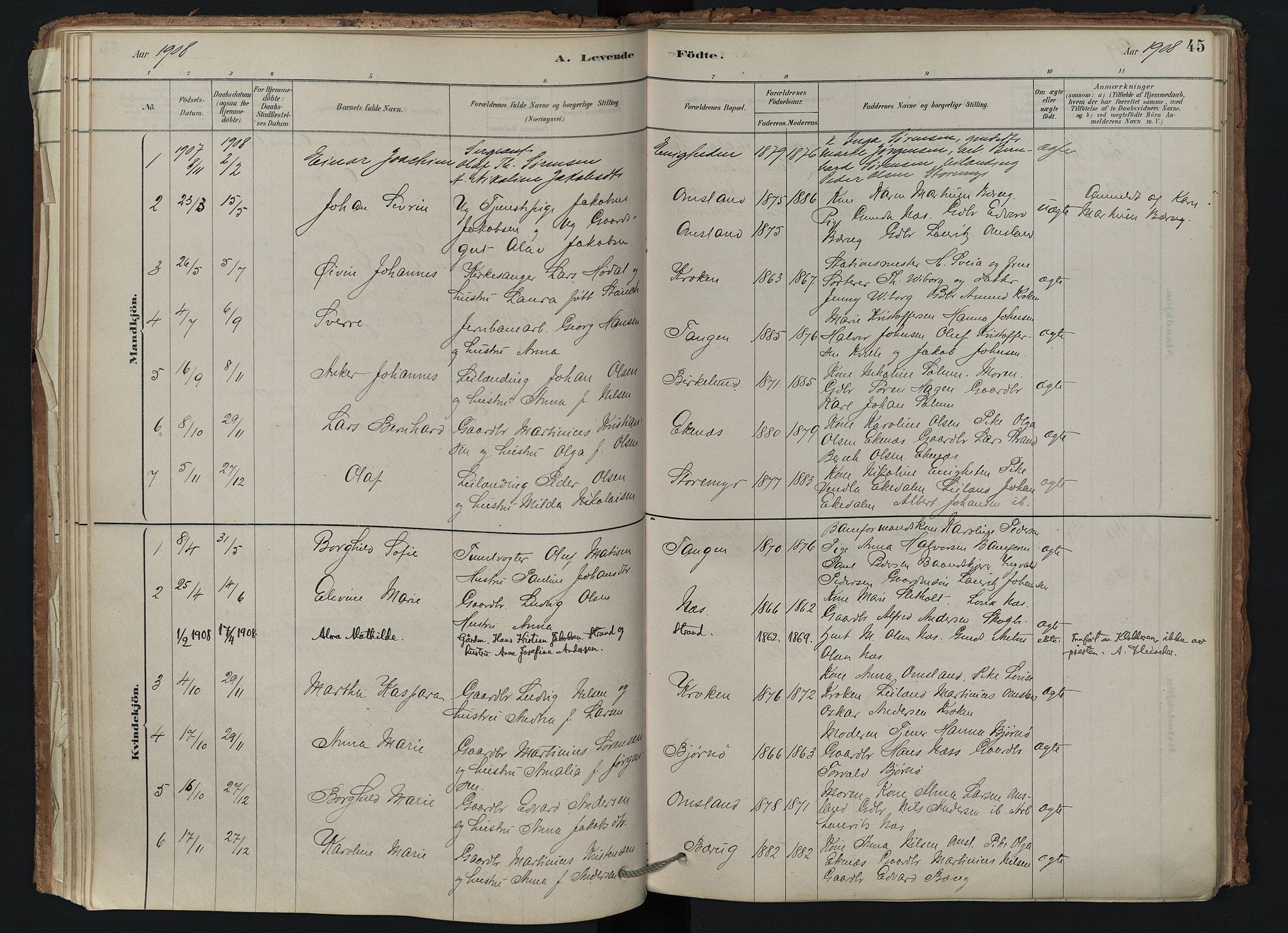 Brunlanes kirkebøker, SAKO/A-342/F/Fd/L0001: Ministerialbok nr. IV 1, 1878-1917, s. 45