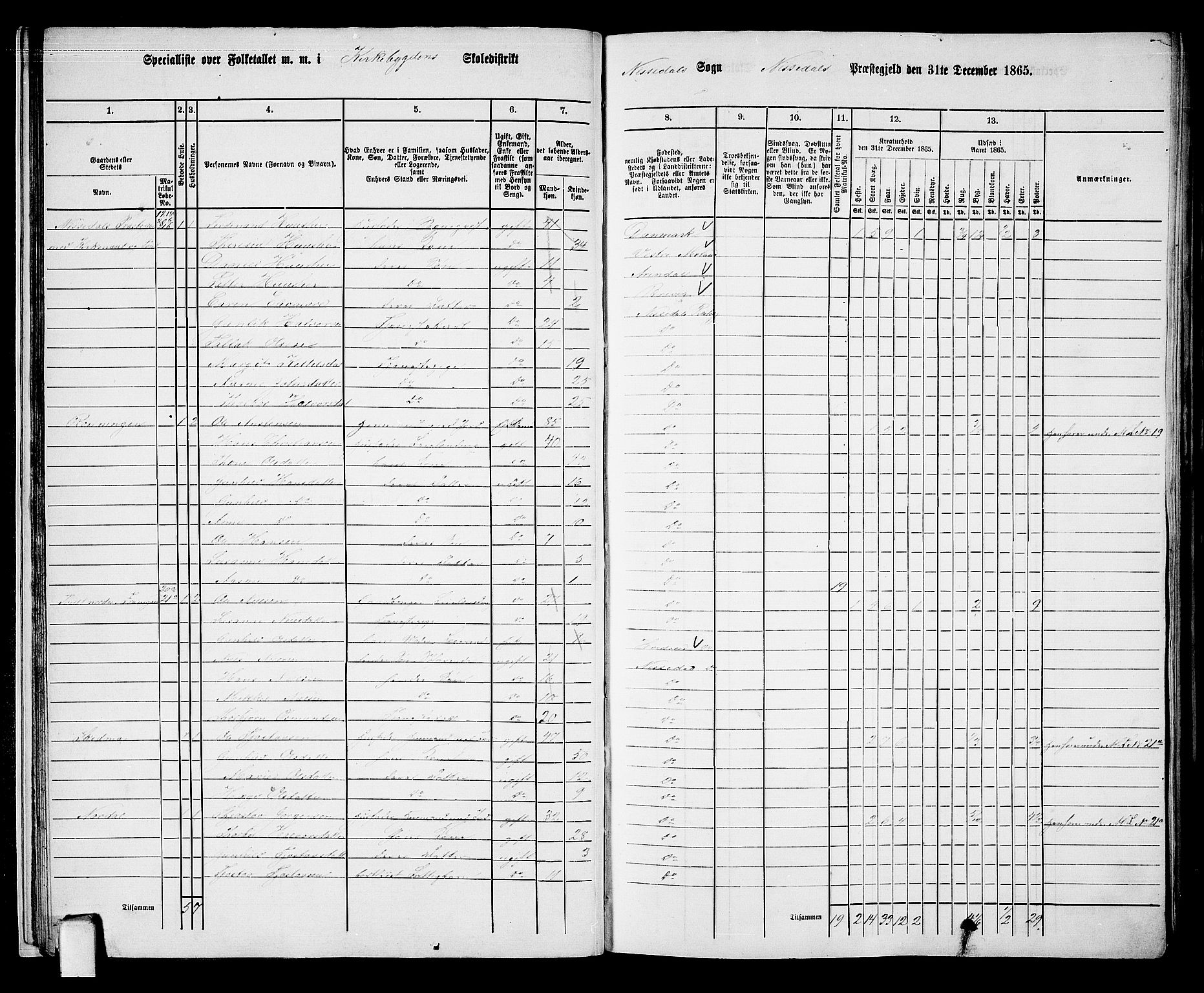 RA, Folketelling 1865 for 0830P Nissedal prestegjeld, 1865, s. 22