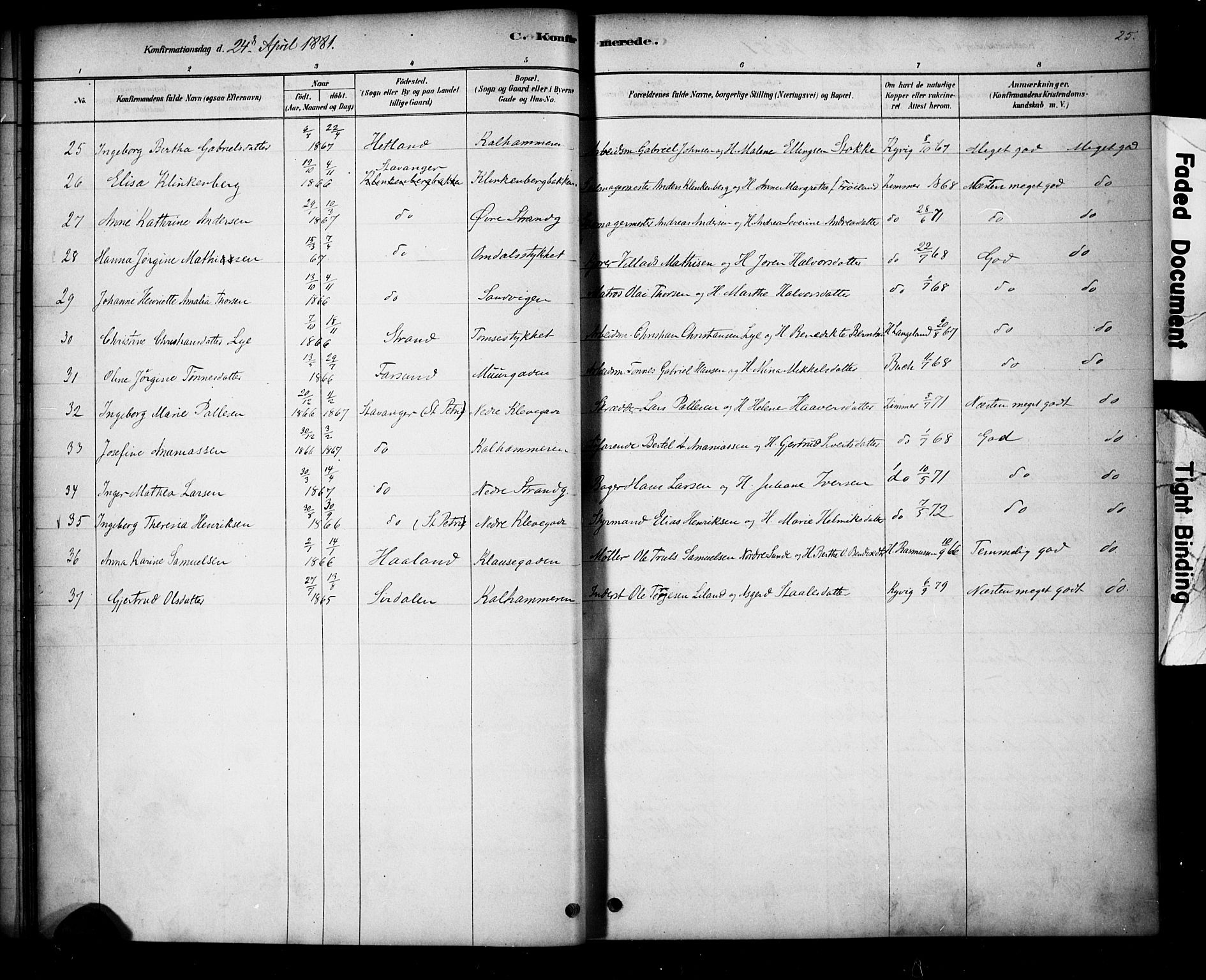 Domkirken sokneprestkontor, AV/SAST-A-101812/001/30/30BA/L0028: Ministerialbok nr. A 27, 1878-1896, s. 25