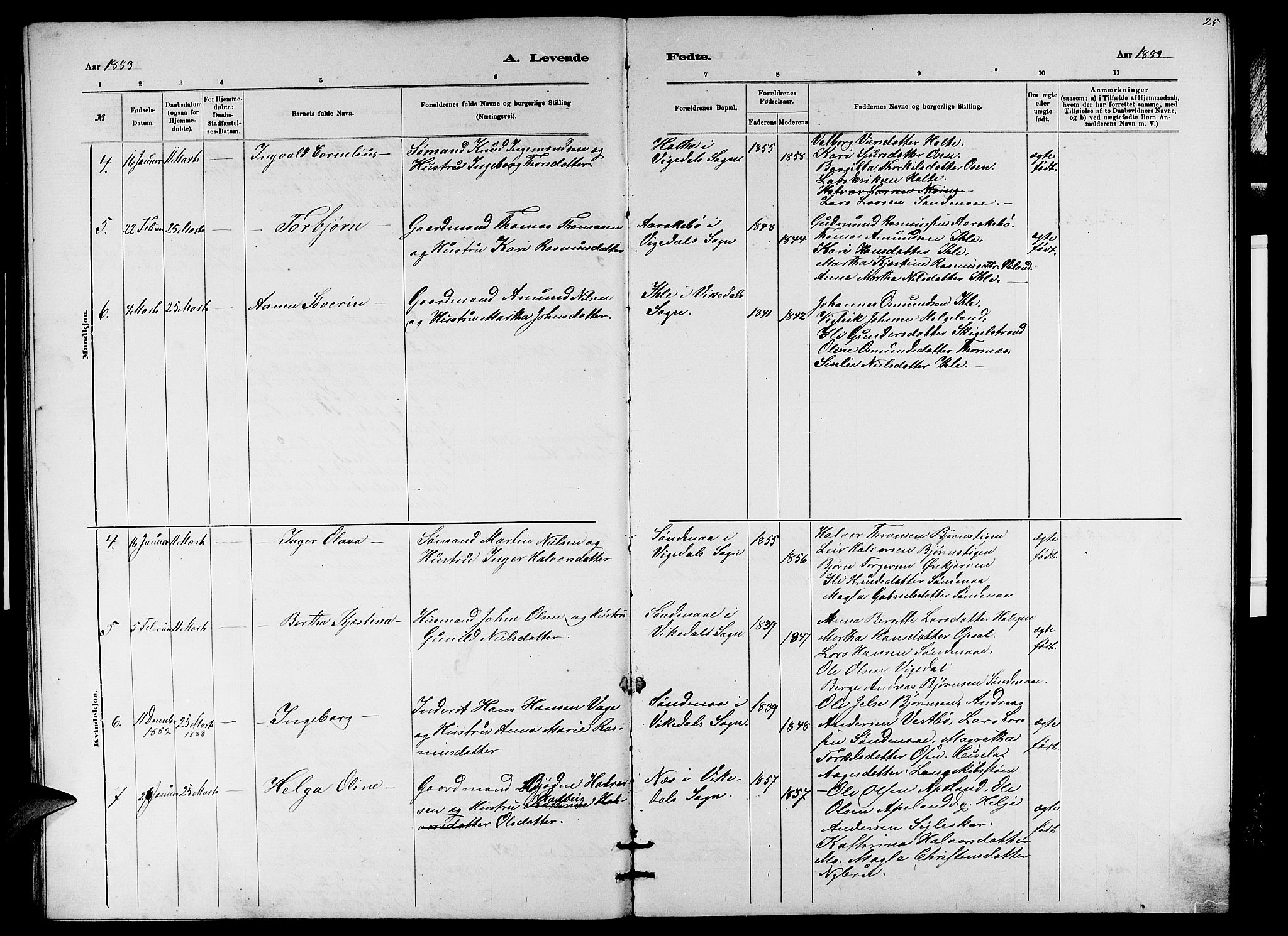 Vikedal sokneprestkontor, AV/SAST-A-101840/01/V: Klokkerbok nr. B 5, 1878-1888, s. 25