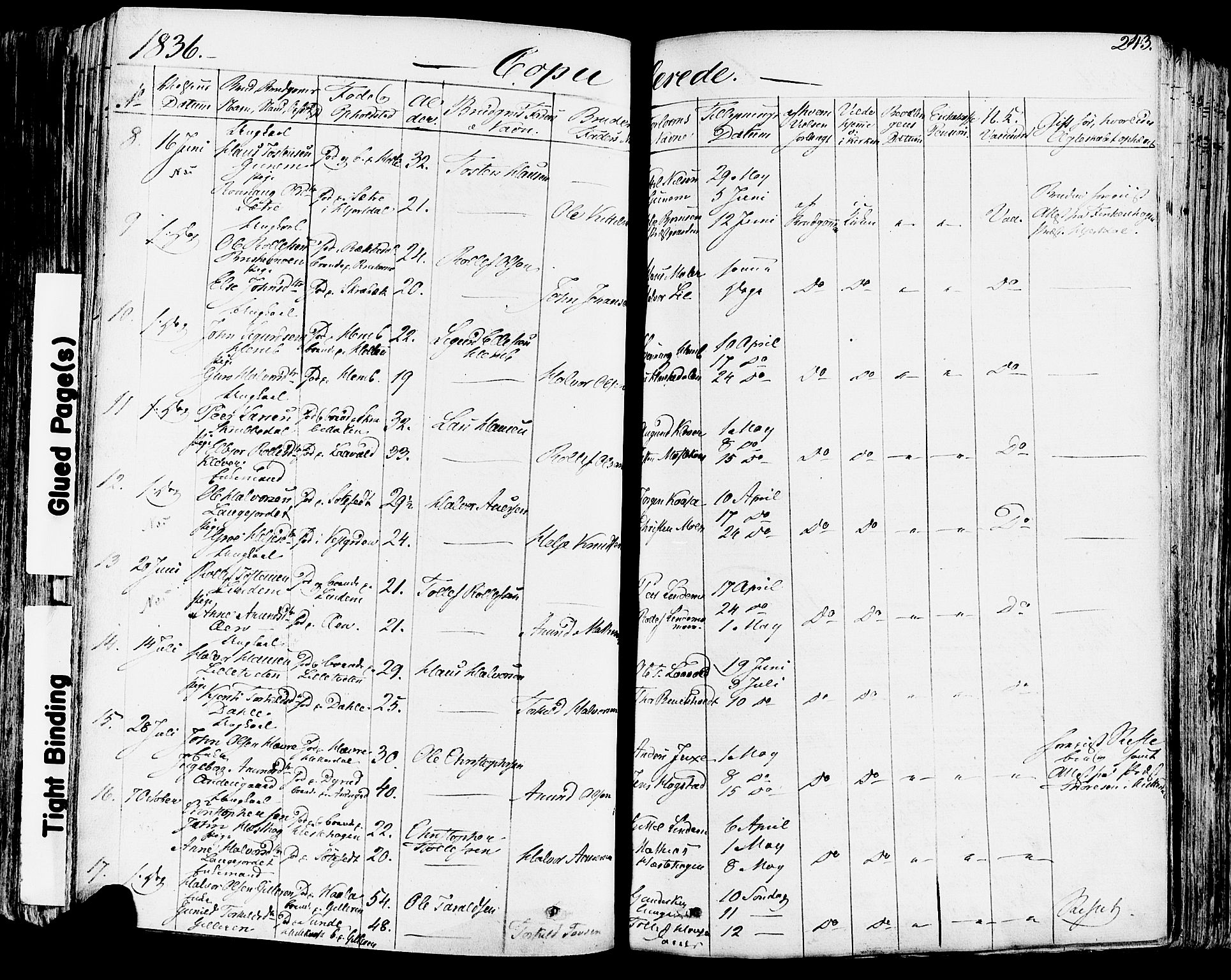 Sauherad kirkebøker, AV/SAKO-A-298/F/Fa/L0006: Ministerialbok nr. I 6, 1827-1850, s. 243