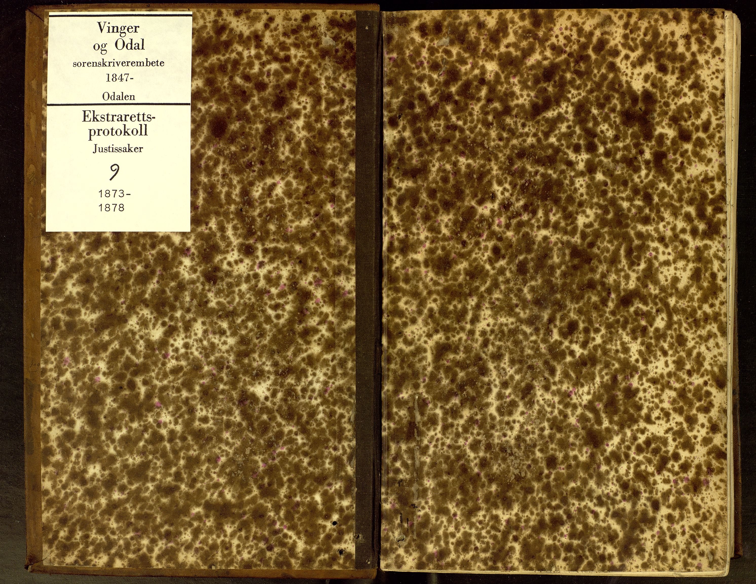 Vinger og Odal sorenskriveri, SAH/TING-022/G/Gc/Gca/L0009: Ekstrarettsprotokoll - Odal, 1873-1878