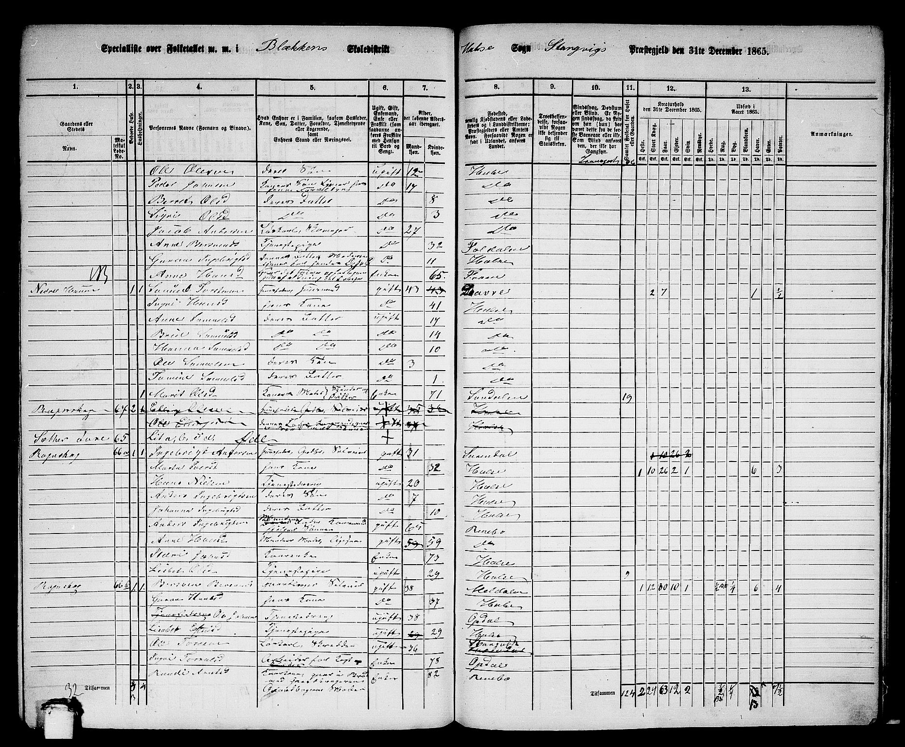 RA, Folketelling 1865 for 1564P Stangvik prestegjeld, 1865, s. 165