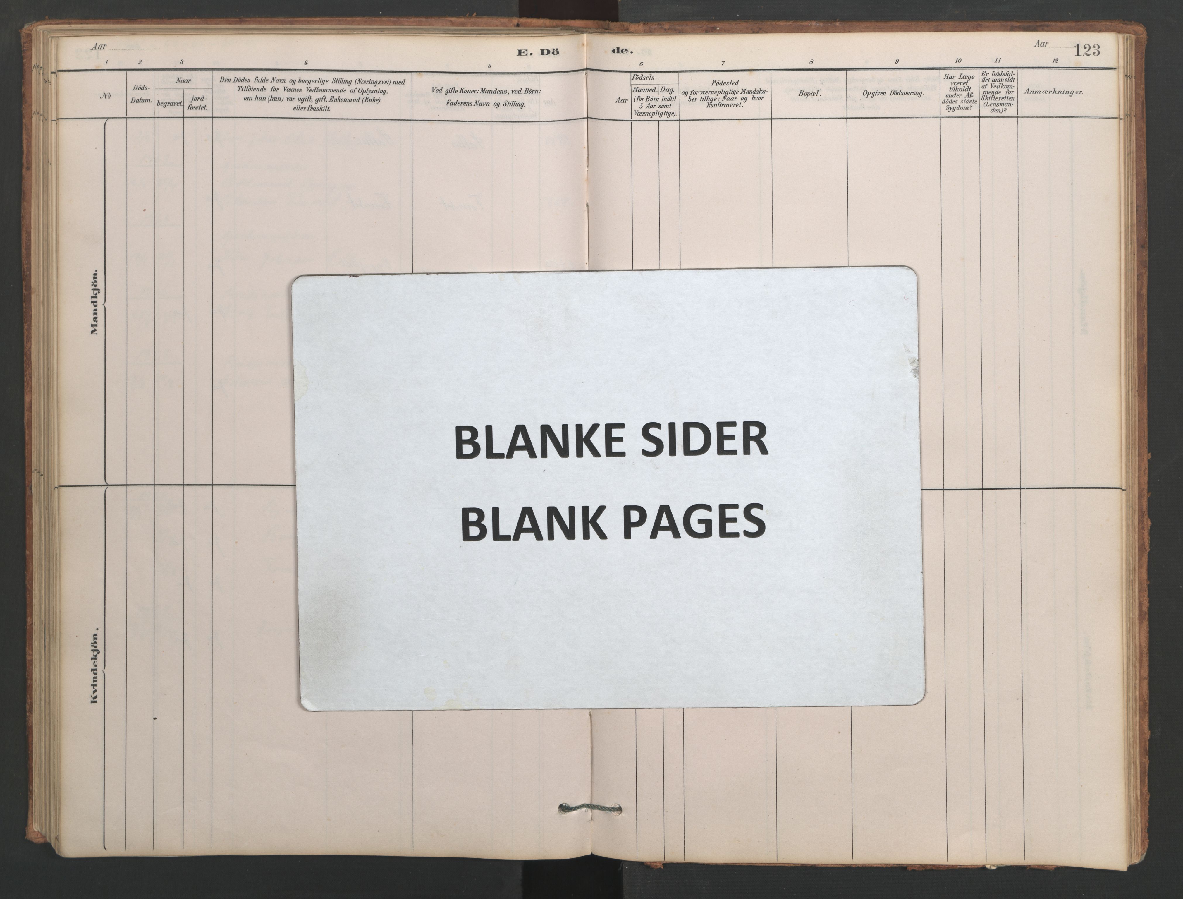 Ministerialprotokoller, klokkerbøker og fødselsregistre - Møre og Romsdal, AV/SAT-A-1454/553/L0642: Klokkerbok nr. 553C01, 1880-1968, s. 123