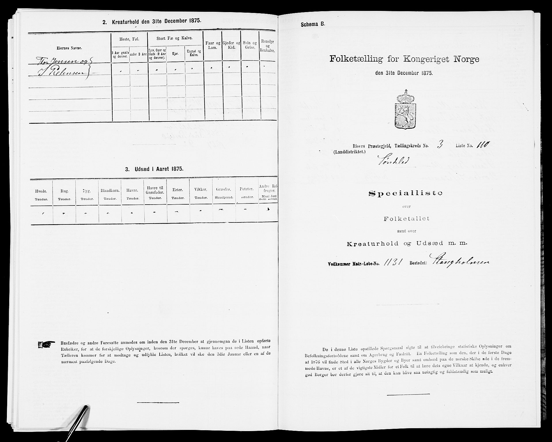 SAK, Folketelling 1875 for 0913L Risør prestegjeld, Søndeled sokn, 1875, s. 598