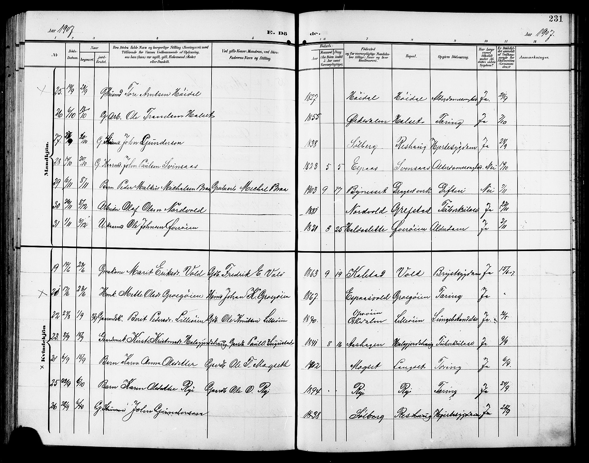 Ministerialprotokoller, klokkerbøker og fødselsregistre - Sør-Trøndelag, AV/SAT-A-1456/672/L0864: Klokkerbok nr. 672C03, 1902-1914, s. 231