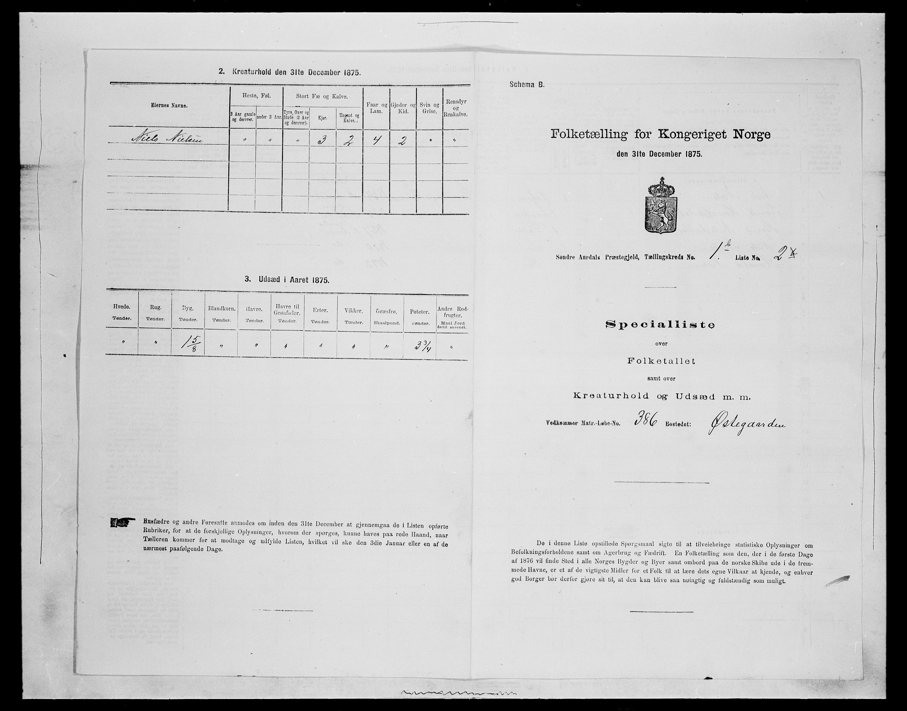 SAH, Folketelling 1875 for 0540P Sør-Aurdal prestegjeld, 1875, s. 308