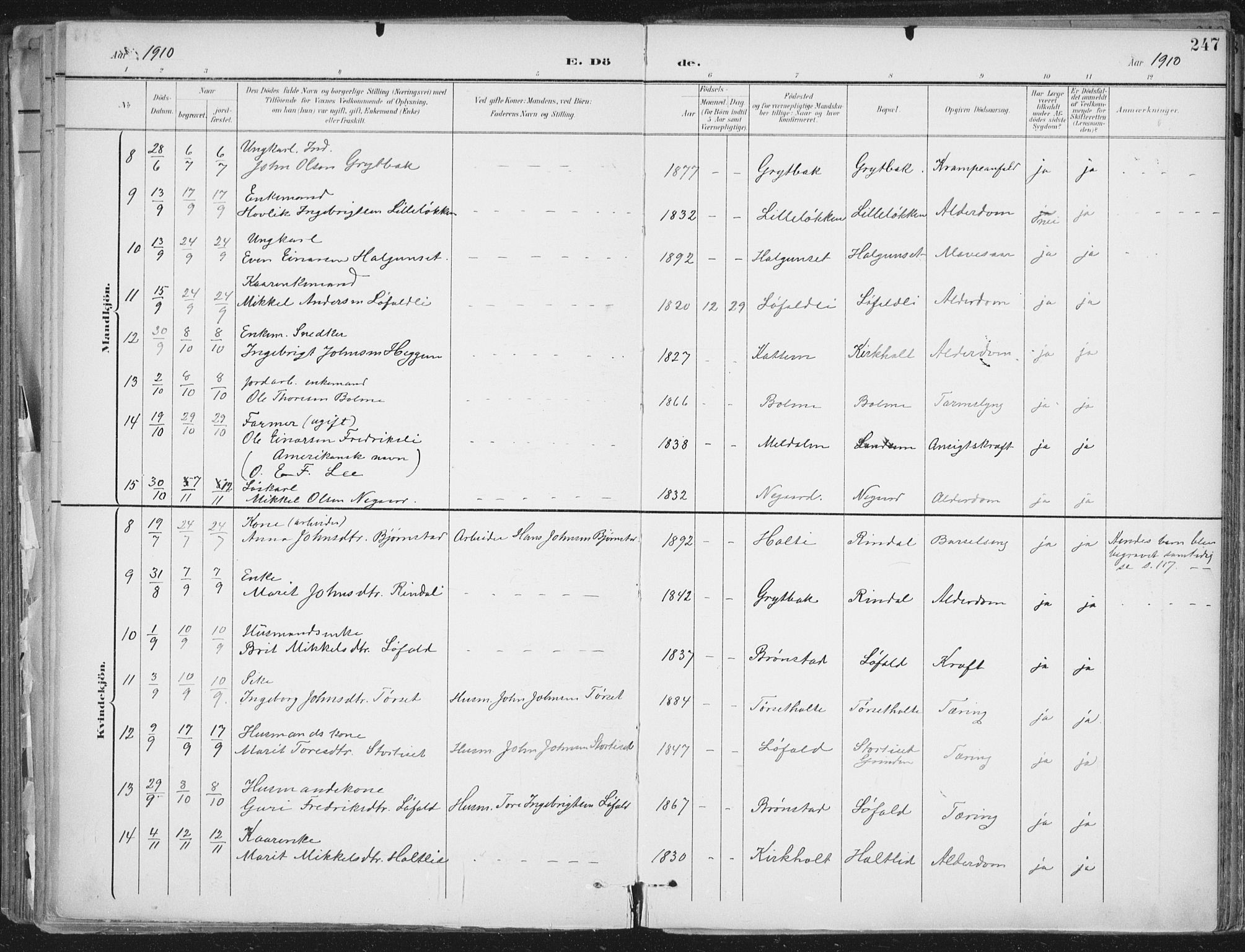 Ministerialprotokoller, klokkerbøker og fødselsregistre - Møre og Romsdal, AV/SAT-A-1454/598/L1072: Ministerialbok nr. 598A06, 1896-1910, s. 247