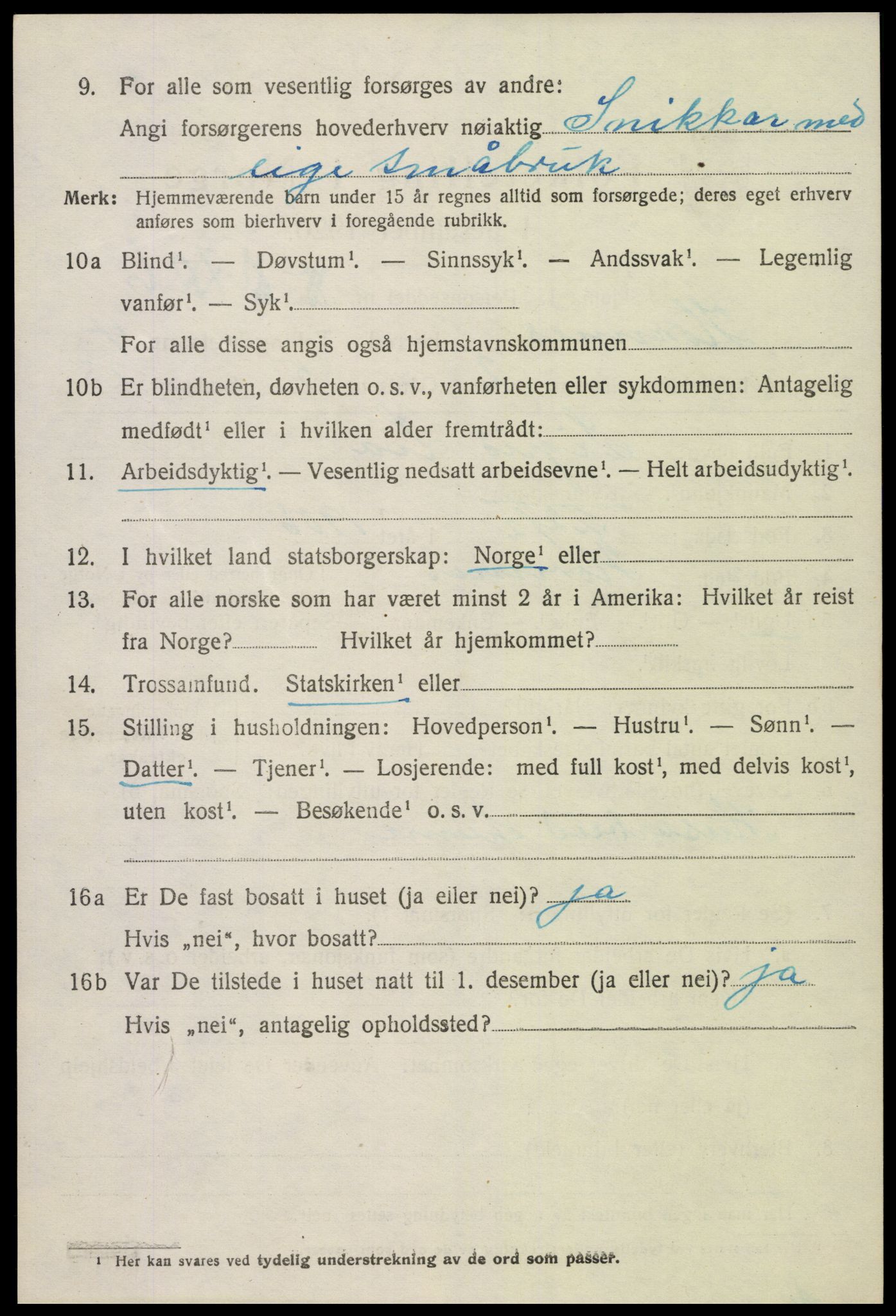 SAK, Folketelling 1920 for 0936 Hornnes herred, 1920, s. 1152