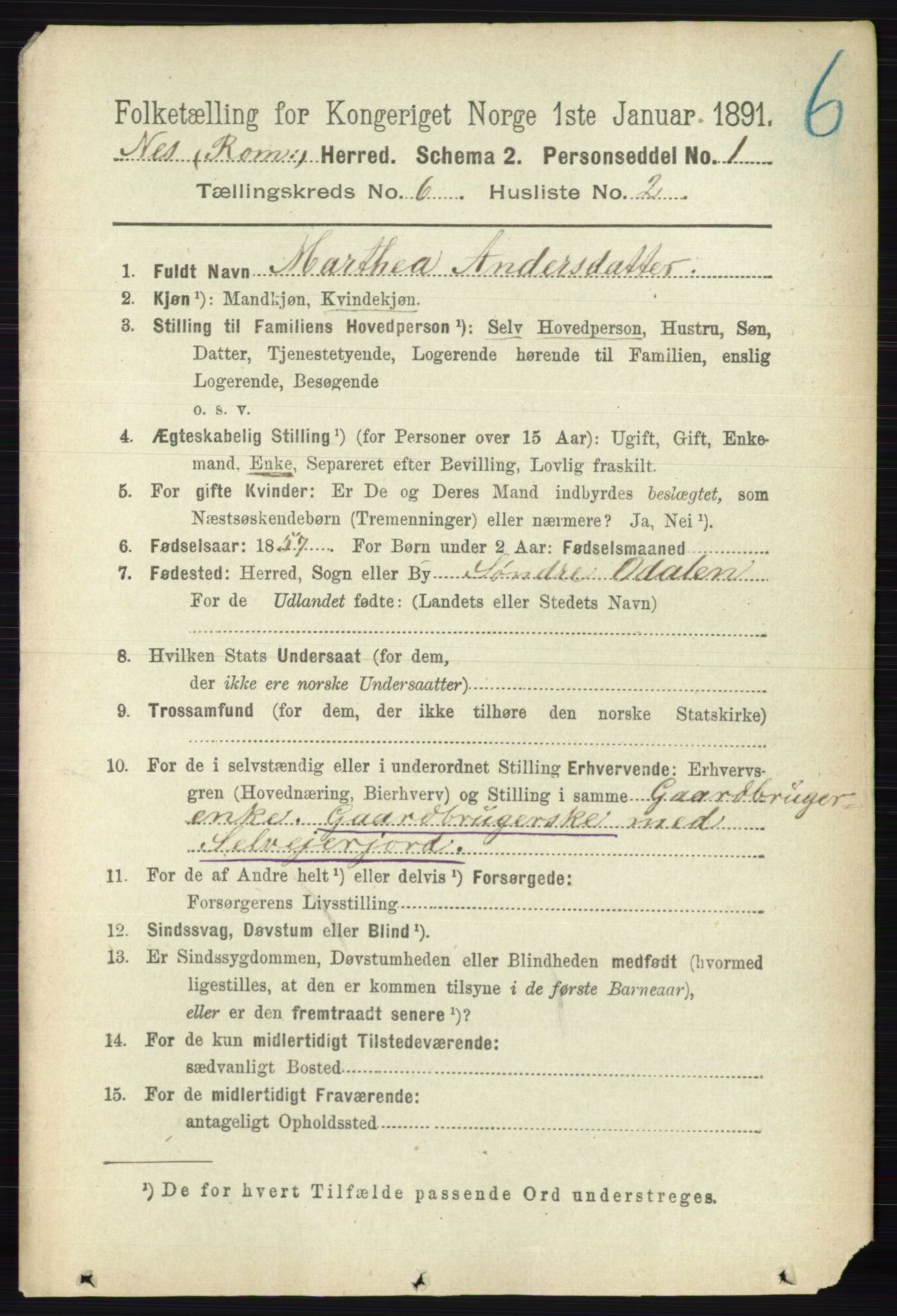 RA, Folketelling 1891 for 0236 Nes herred, 1891, s. 3400