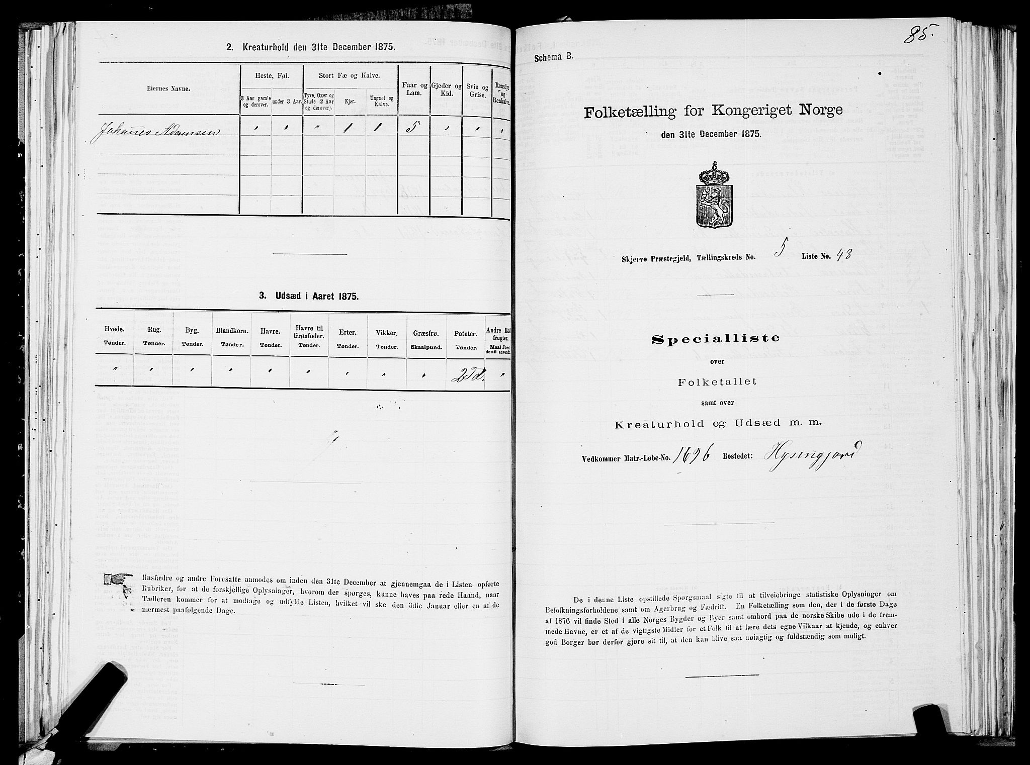 SATØ, Folketelling 1875 for 1941P Skjervøy prestegjeld, 1875, s. 4085