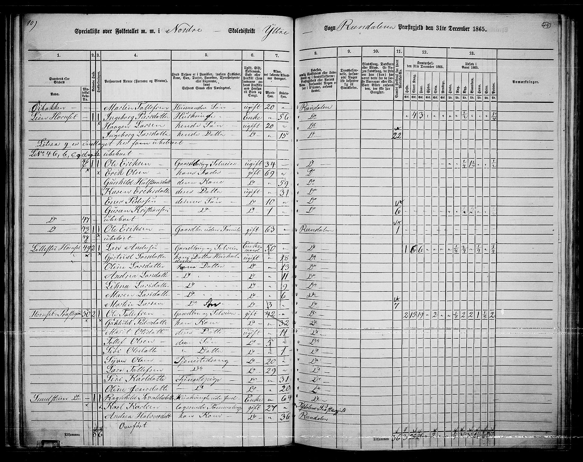 RA, Folketelling 1865 for 0432P Rendalen prestegjeld, 1865, s. 45