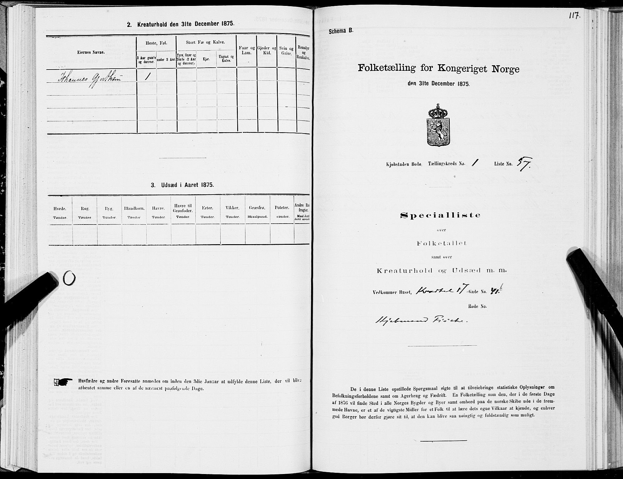 SAT, Folketelling 1875 for 1804B Bodø prestegjeld, Bodø kjøpstad, 1875, s. 117