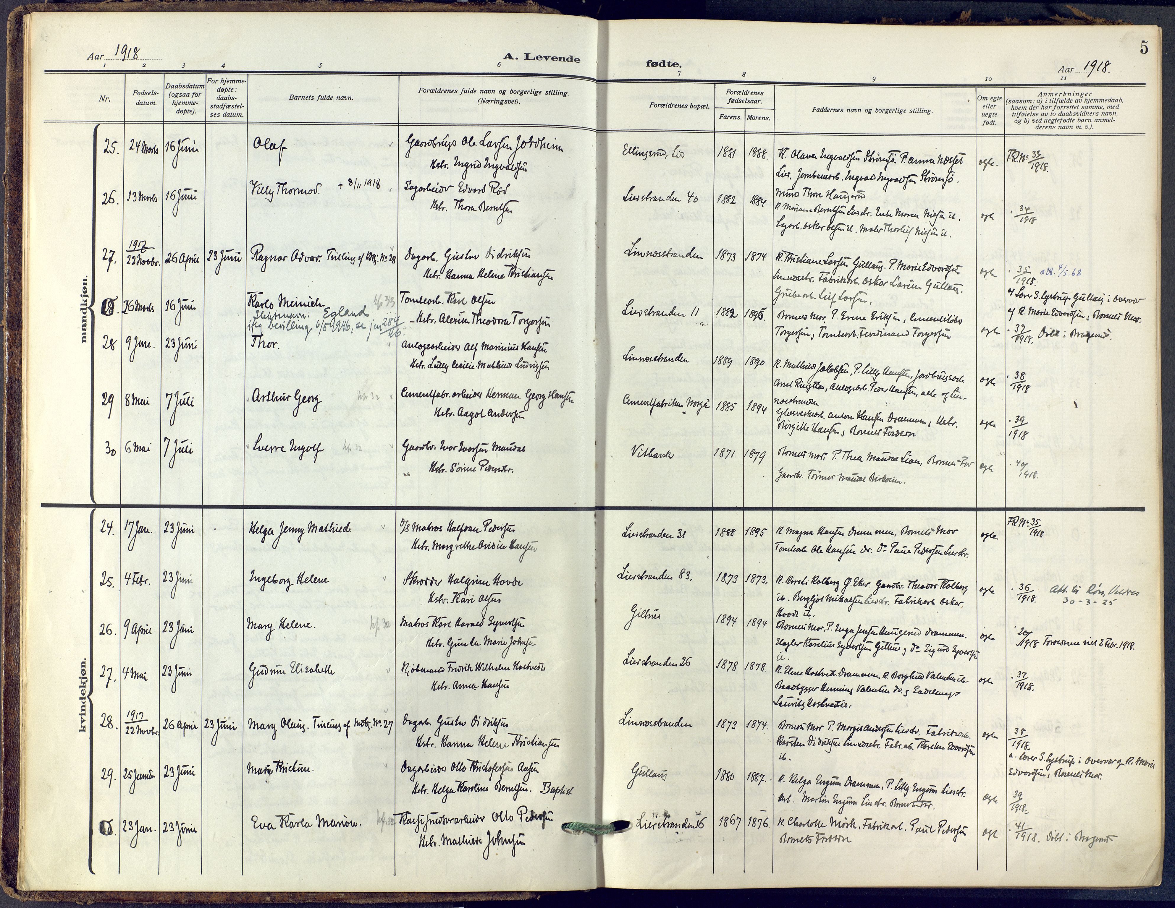 Lier kirkebøker, SAKO/A-230/F/Fa/L0019: Ministerialbok nr. I 19, 1918-1928, s. 5