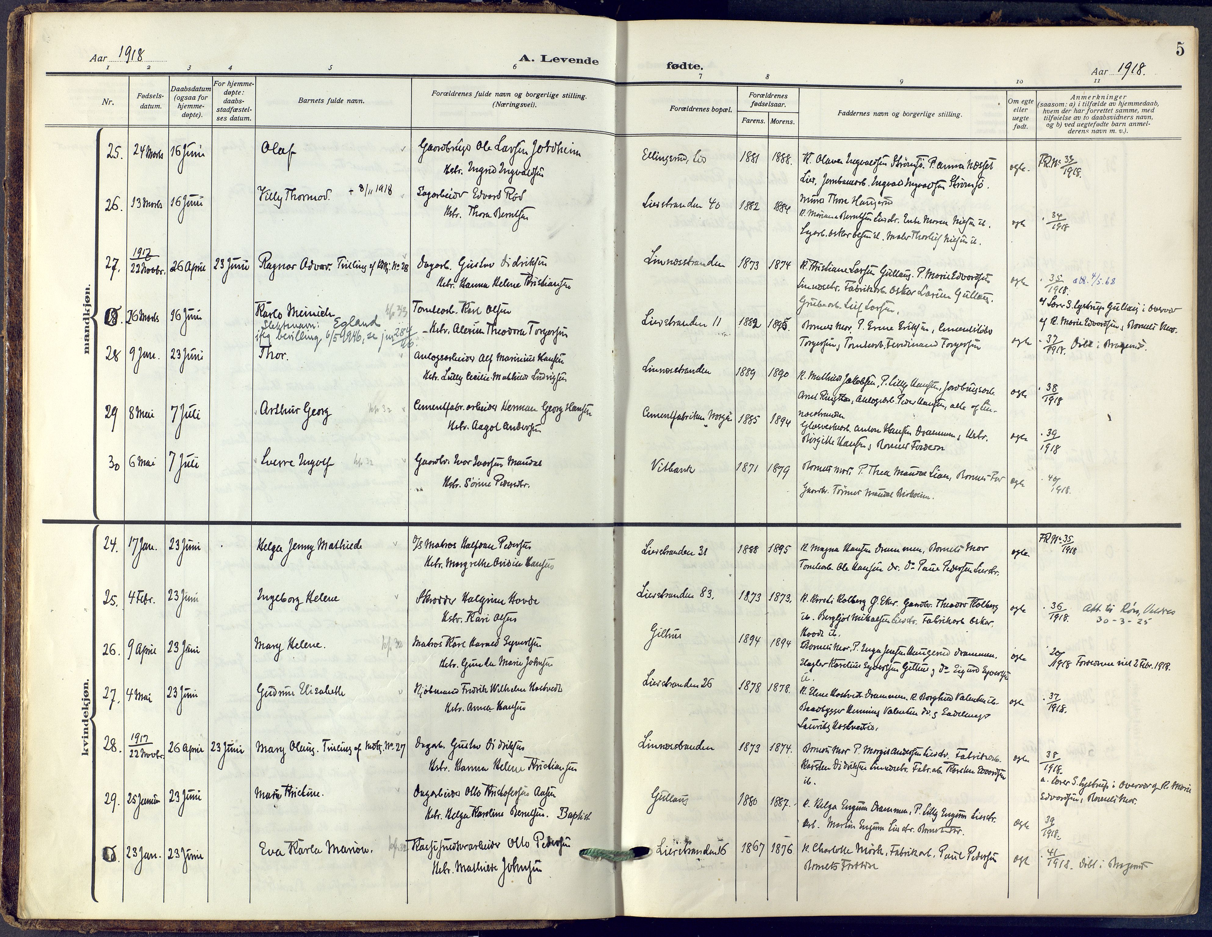 Lier kirkebøker, AV/SAKO-A-230/F/Fa/L0019: Ministerialbok nr. I 19, 1918-1928, s. 5
