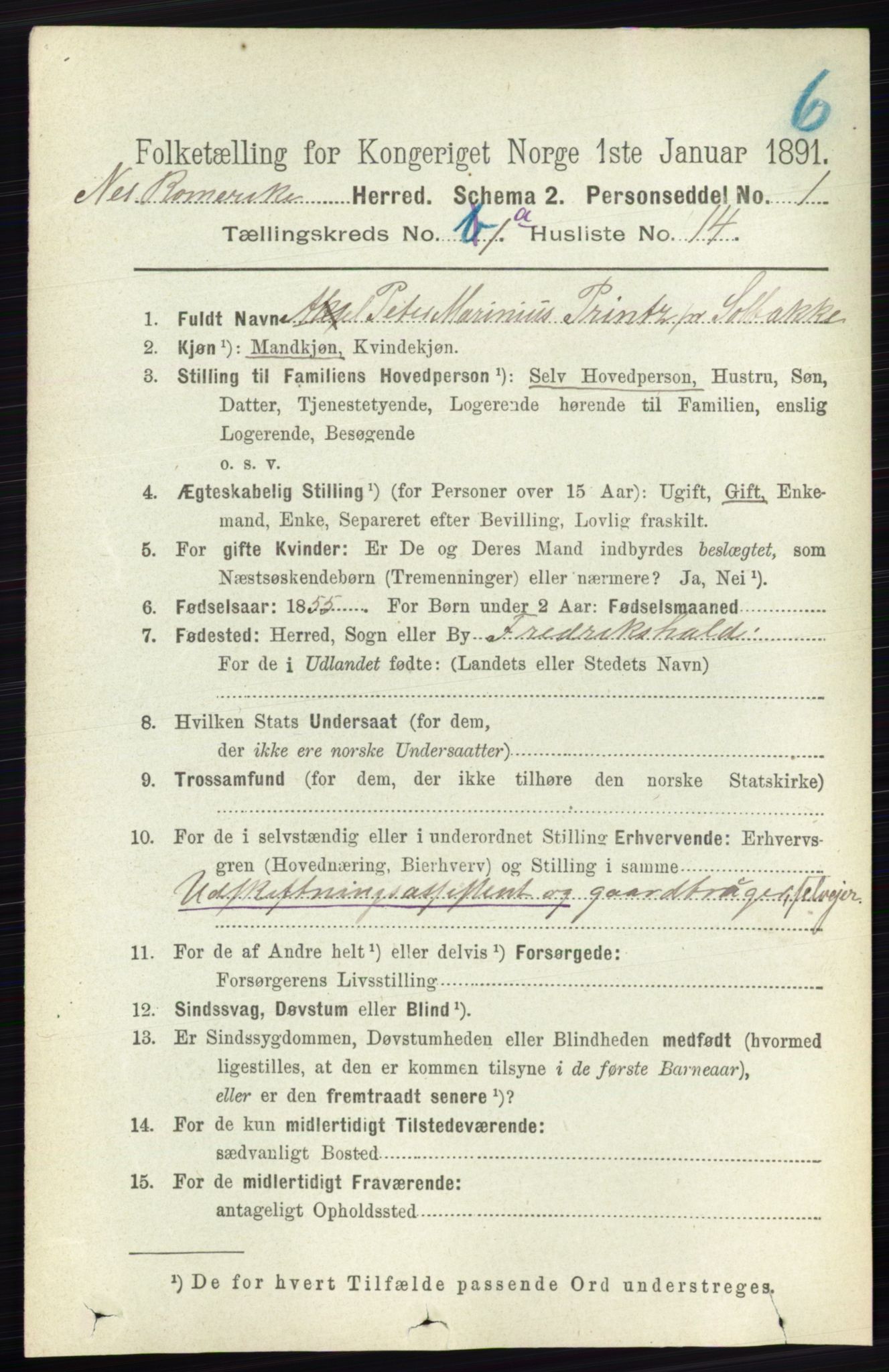 RA, Folketelling 1891 for 0236 Nes herred, 1891, s. 200