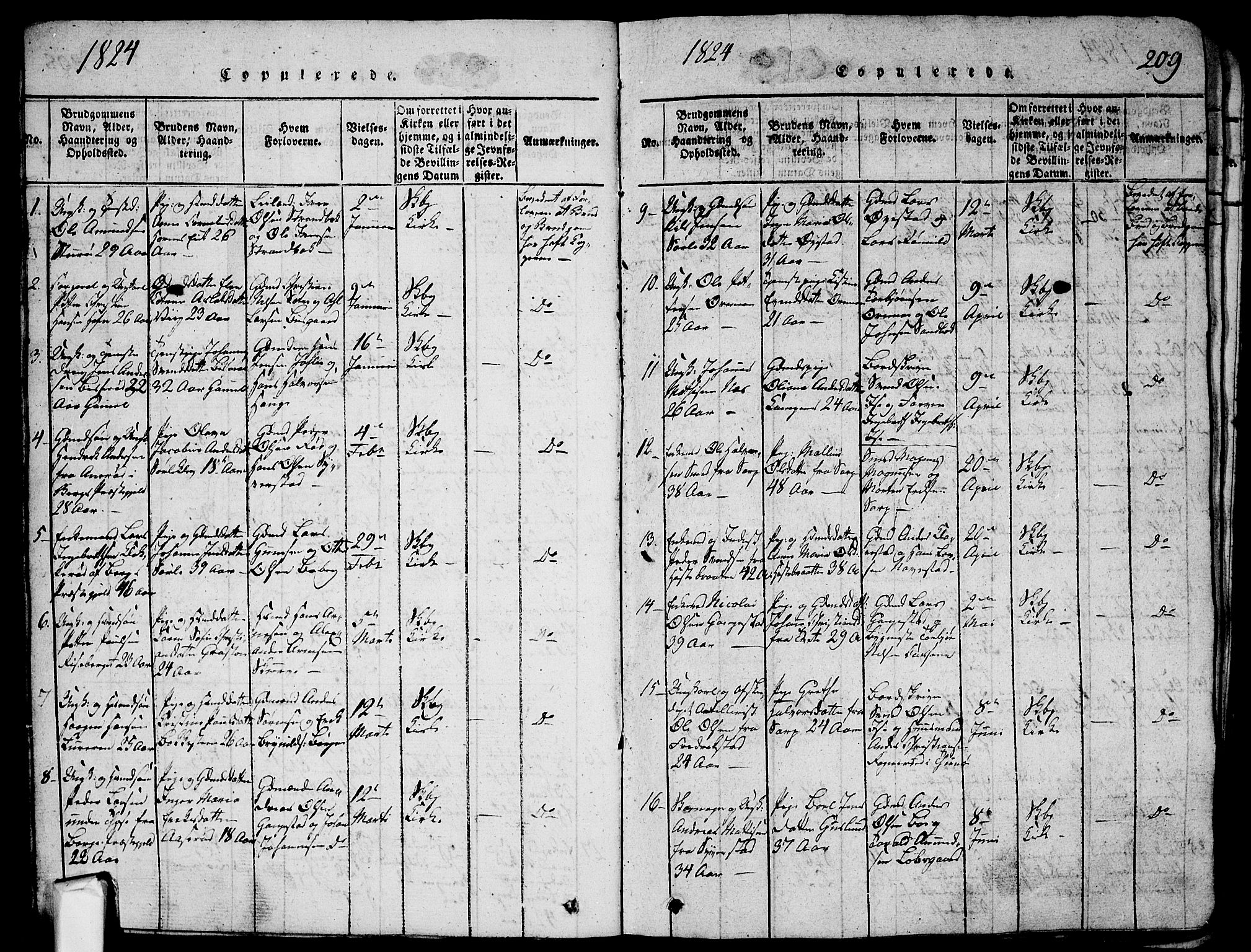 Skjeberg prestekontor Kirkebøker, AV/SAO-A-10923/G/Ga/L0001: Klokkerbok nr. I 1, 1815-1830, s. 209