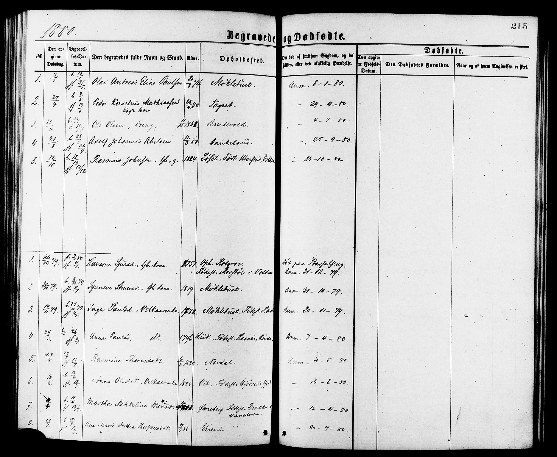 Ministerialprotokoller, klokkerbøker og fødselsregistre - Møre og Romsdal, SAT/A-1454/502/L0024: Ministerialbok nr. 502A02, 1873-1884, s. 215