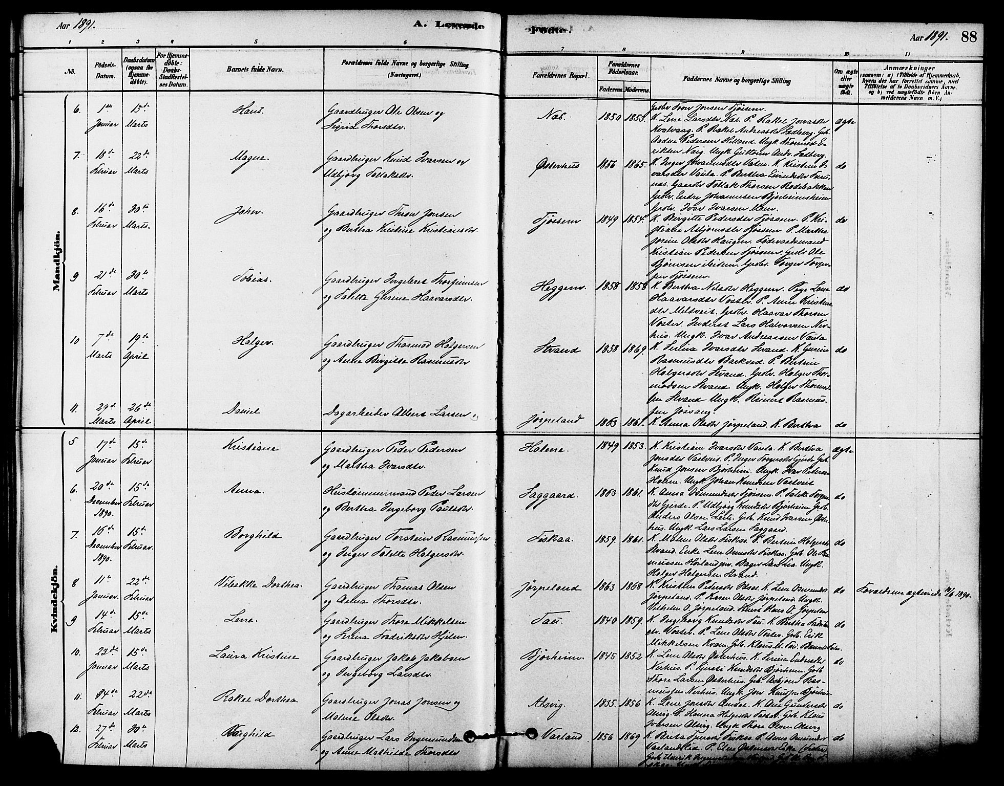 Strand sokneprestkontor, SAST/A-101828/H/Ha/Haa/L0009: Ministerialbok nr. A 9, 1877-1908, s. 88